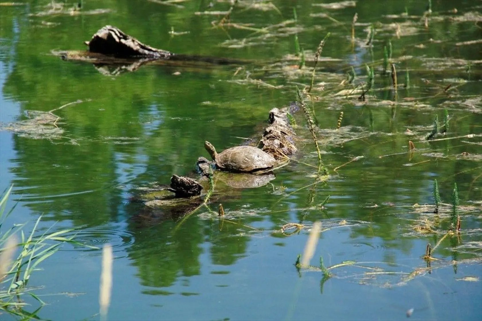 Göz kamaştıran 'Melekler Gölü' keşfedilmeyi bekliyor