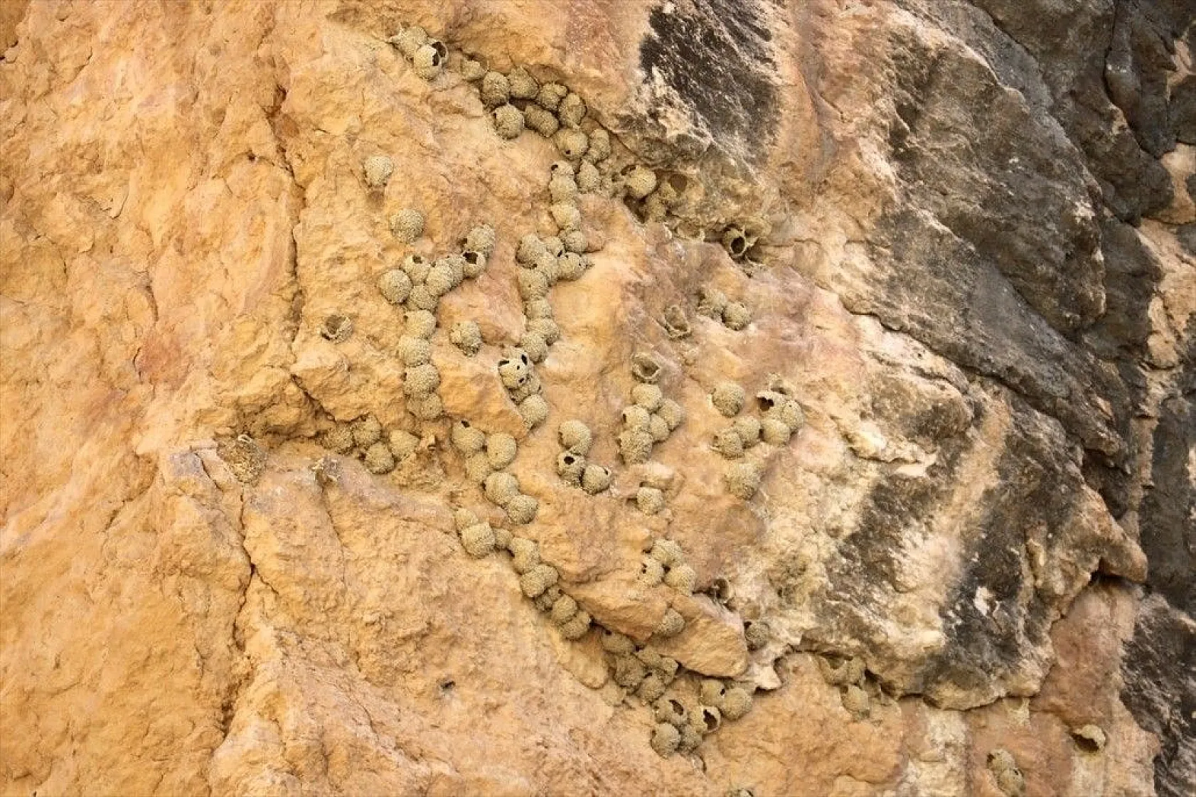 Saklıkapı kanyonu doğa tutkunlarını bekliyor