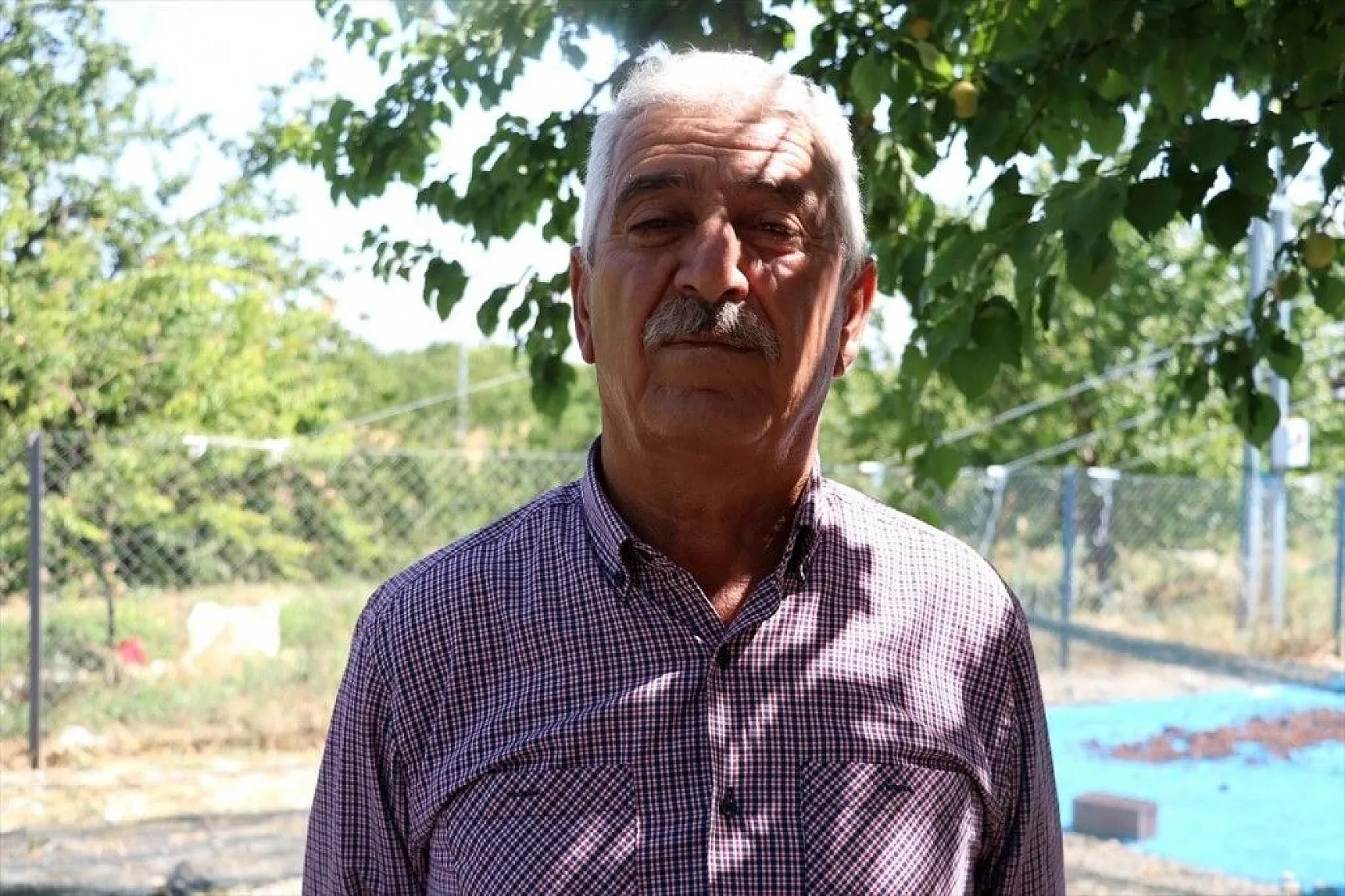 Taze kayısı ihracatındaki artış yüz güldürdü