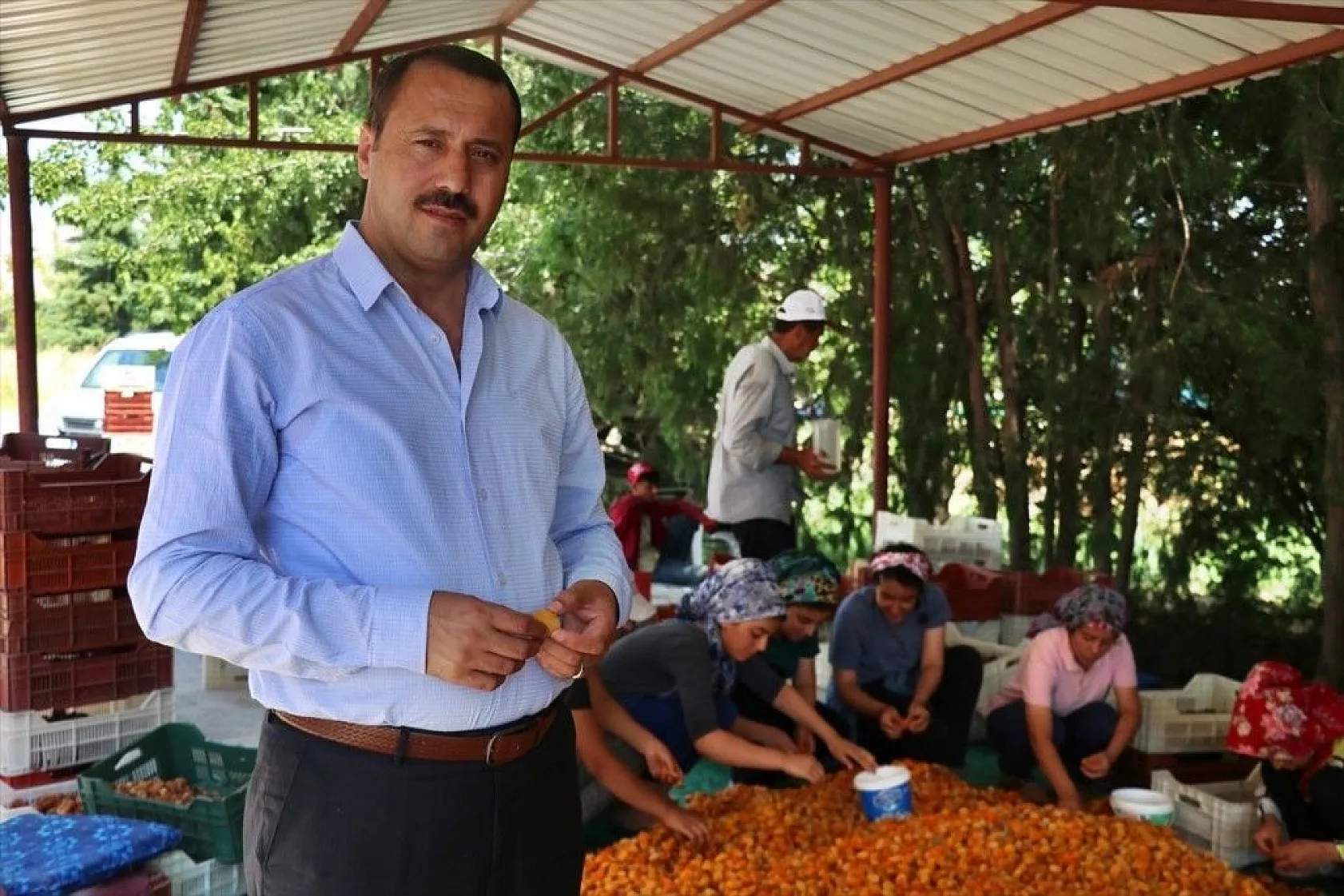 Taze kayısı ihracatındaki artış yüz güldürdü