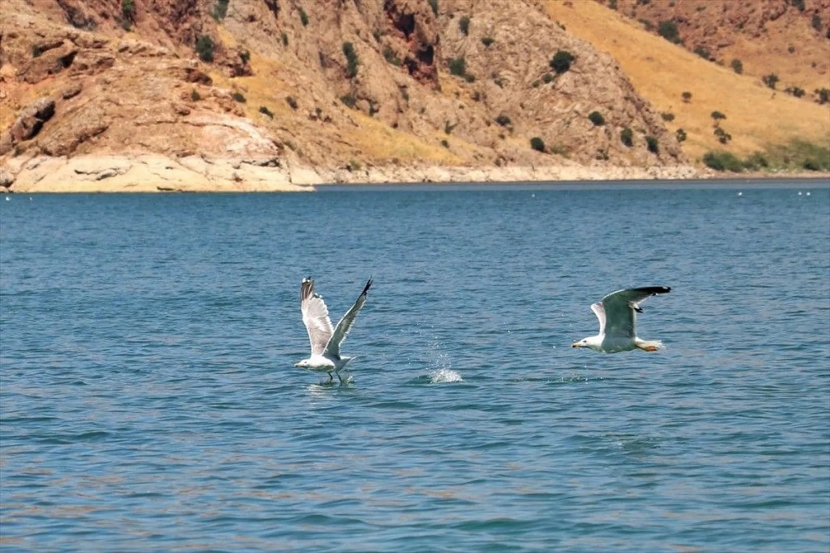 Saklıkapı ve Karaleylek kanyonları doğa tutkunlarını cezbediyor