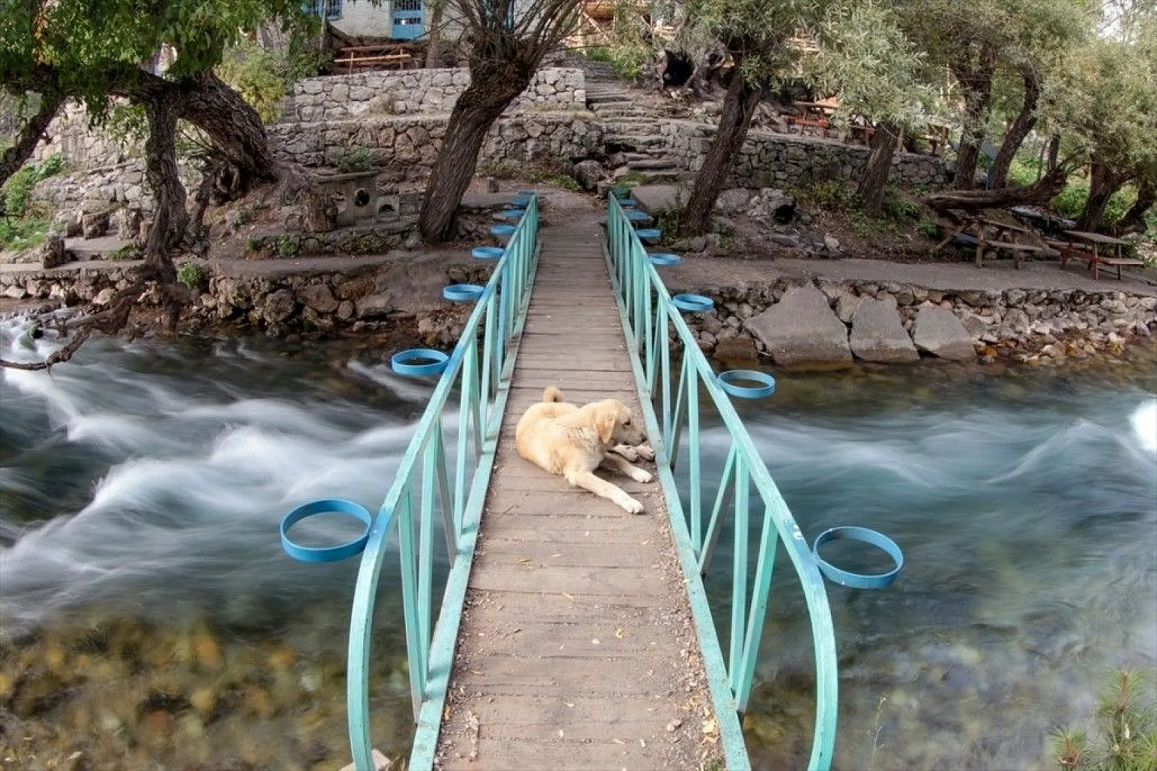 'Munzur Gözeleri' turistlerin gözdesi oldu