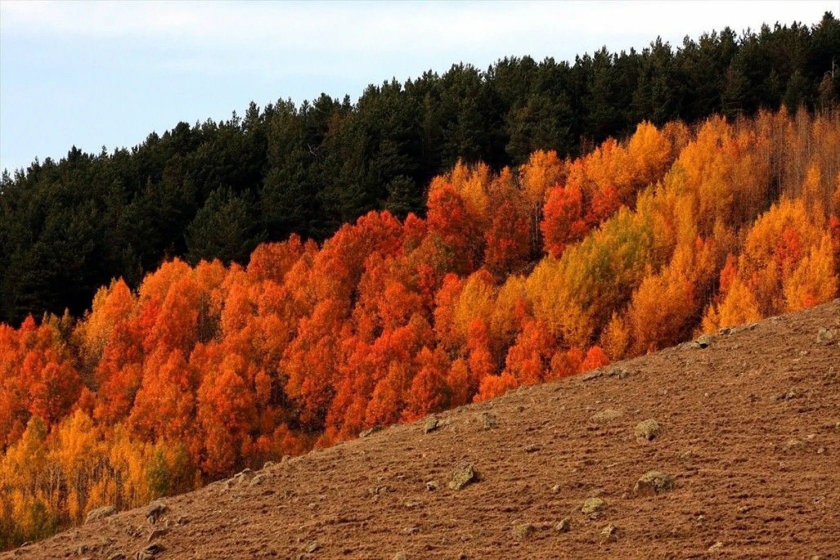 Sarıkamış'ta sonbahar güzelliği