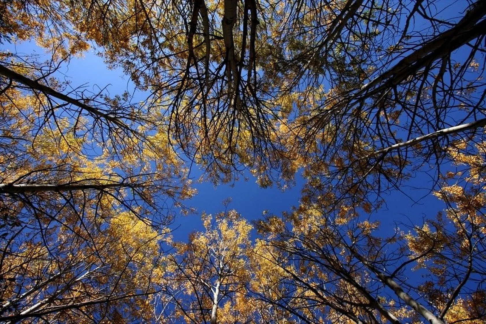 Sarıkamış'ta sonbahar güzelliği