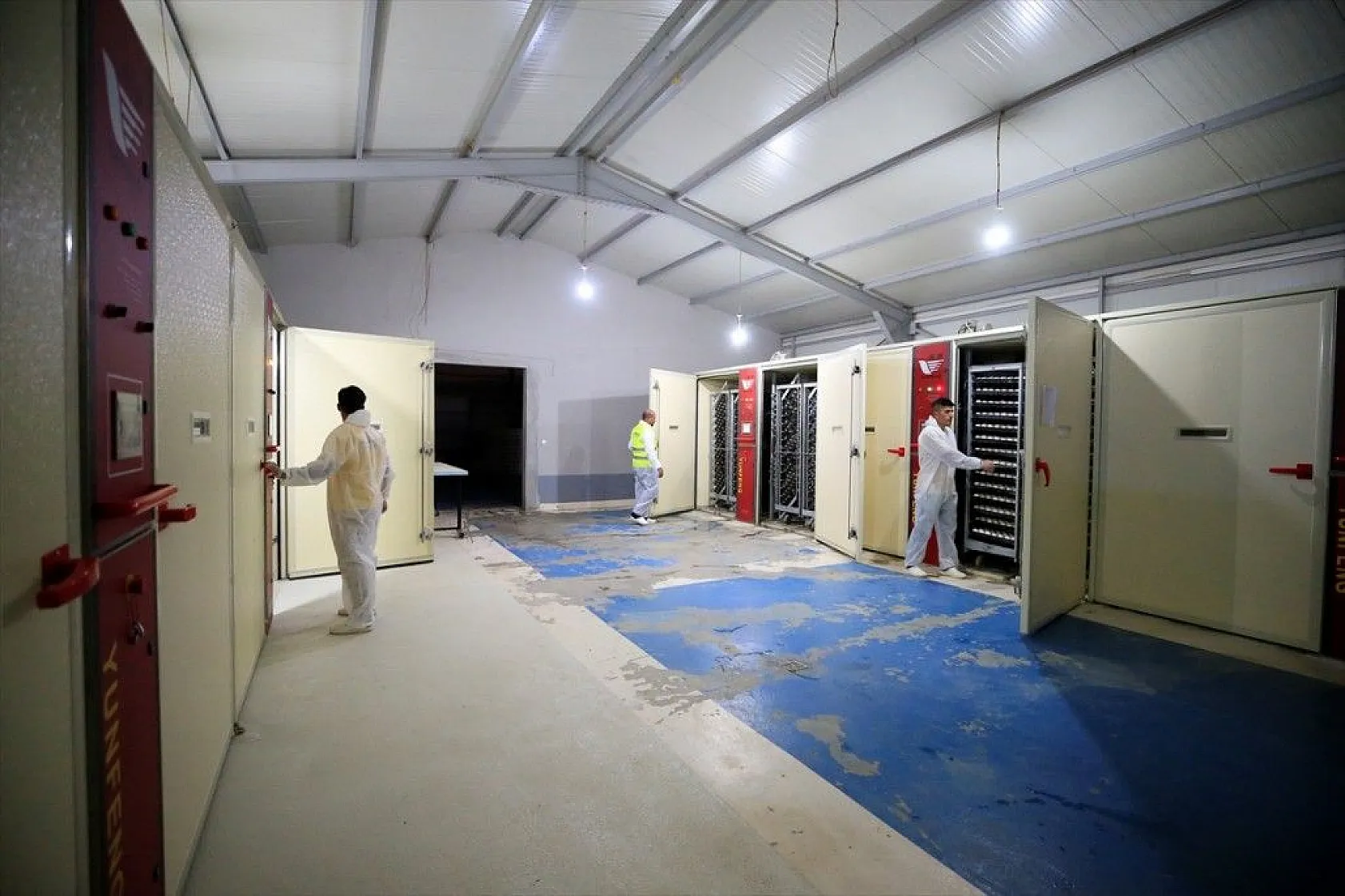 Devlet desteğiyle kaz üretimini 4 yılda 100 kat arttırdı