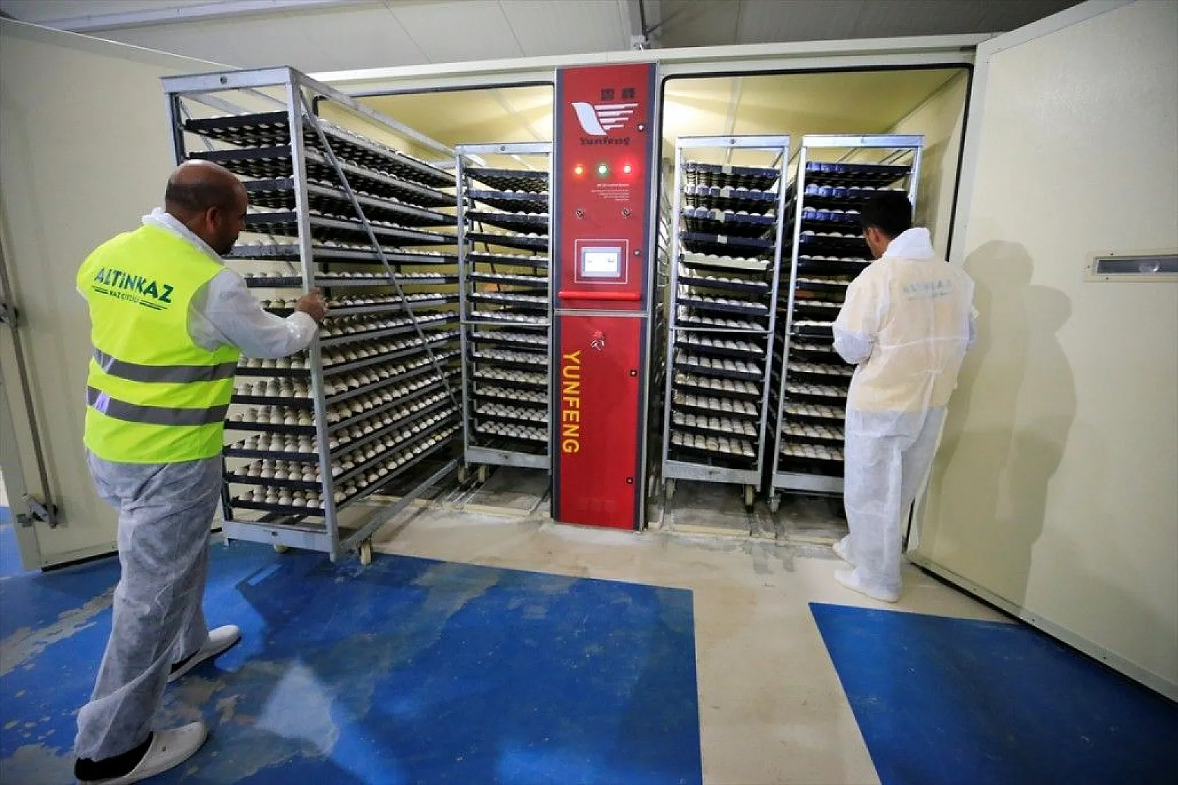 Devlet desteğiyle kaz üretimini 4 yılda 100 kat arttırdı