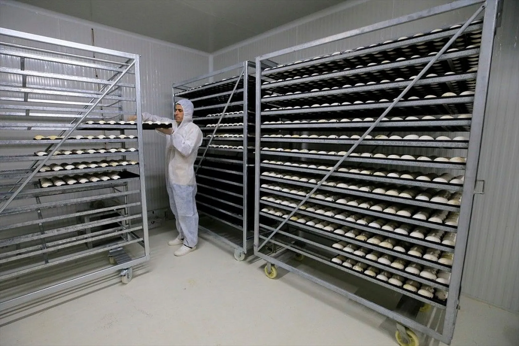 Devlet desteğiyle kaz üretimini 4 yılda 100 kat arttırdı