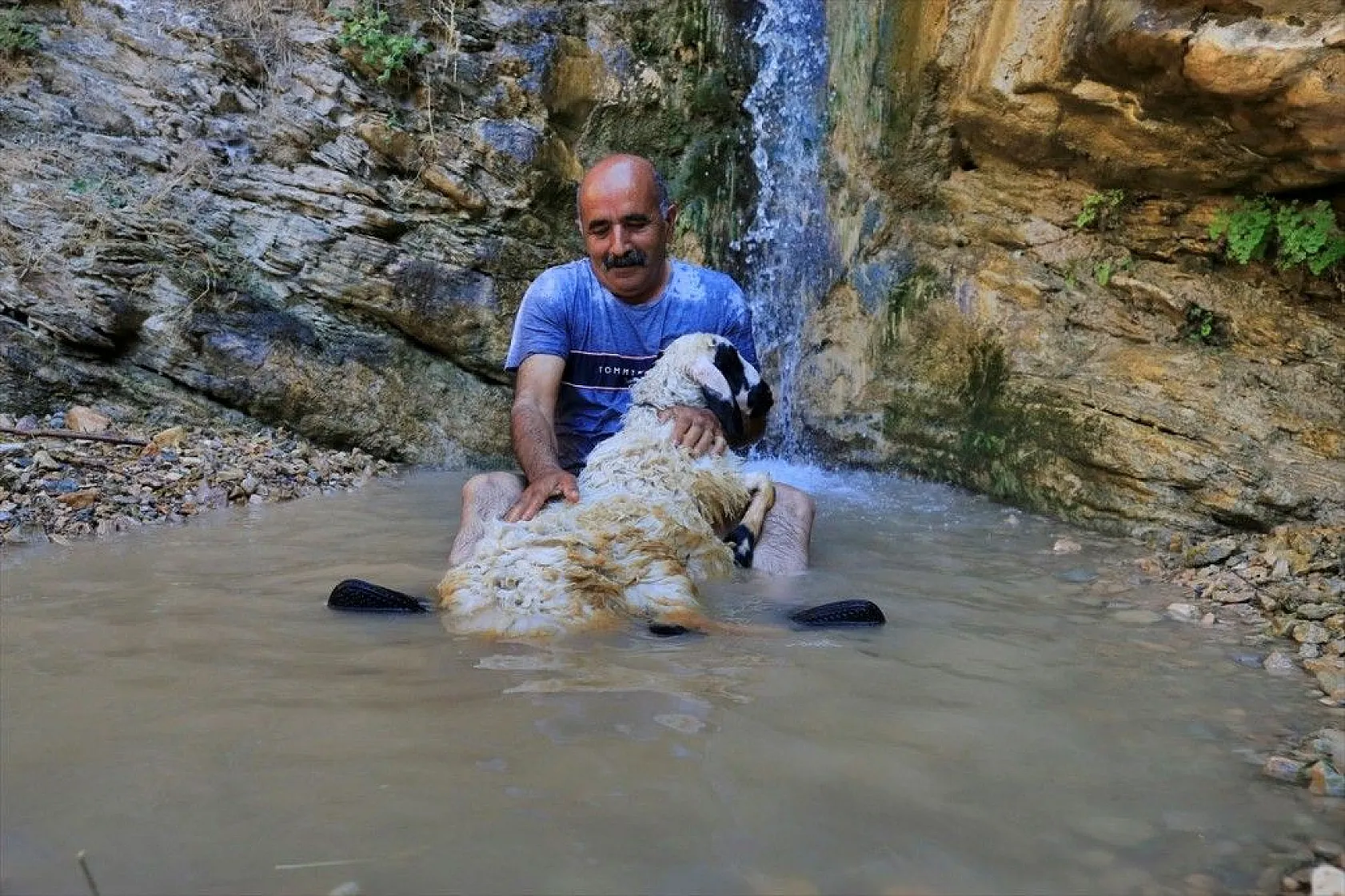 Sıcaktan etkilenen küçükbaş hayvanlar şelalede serinletiliyor