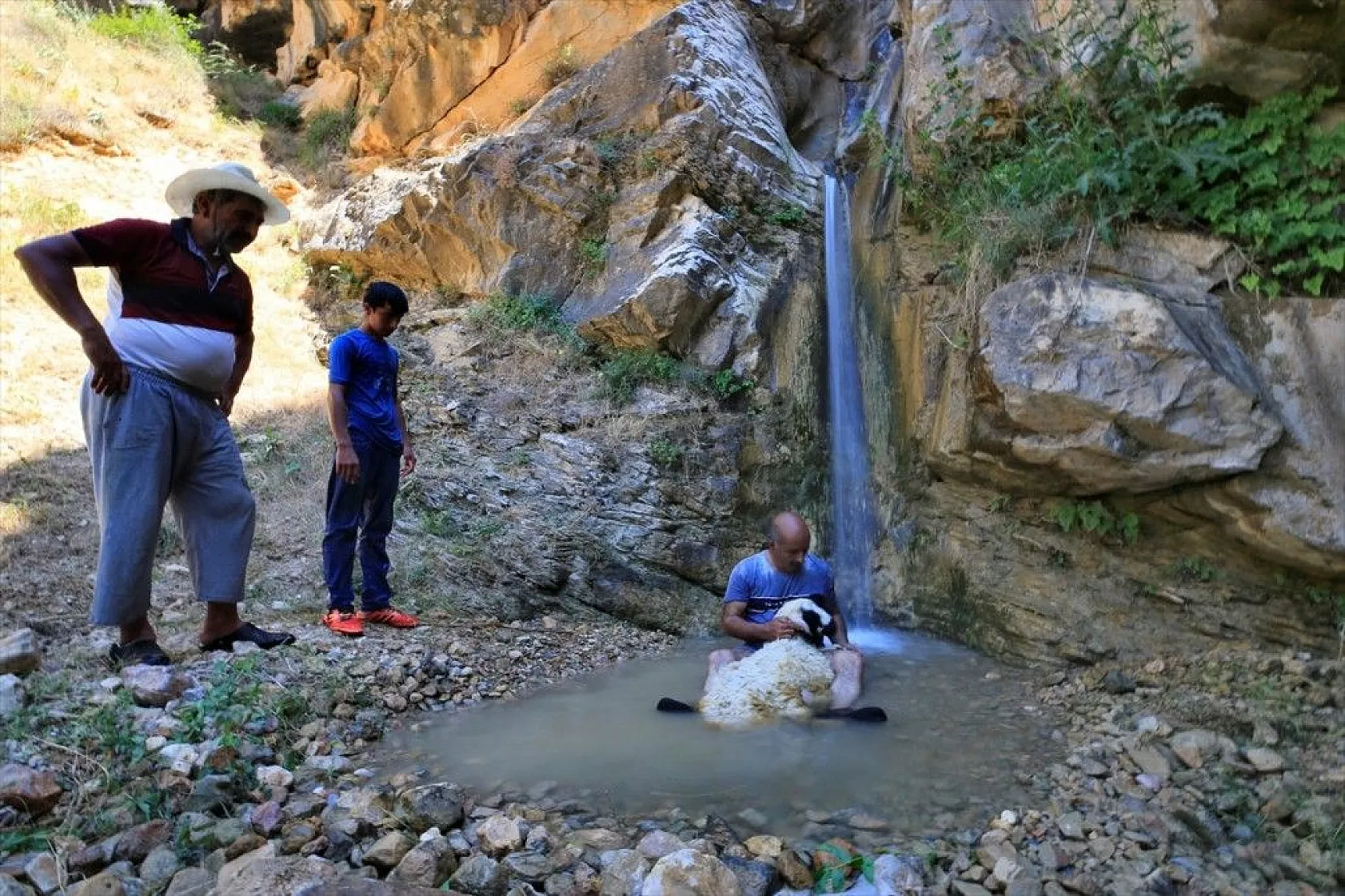 Sıcaktan etkilenen küçükbaş hayvanlar şelalede serinletiliyor