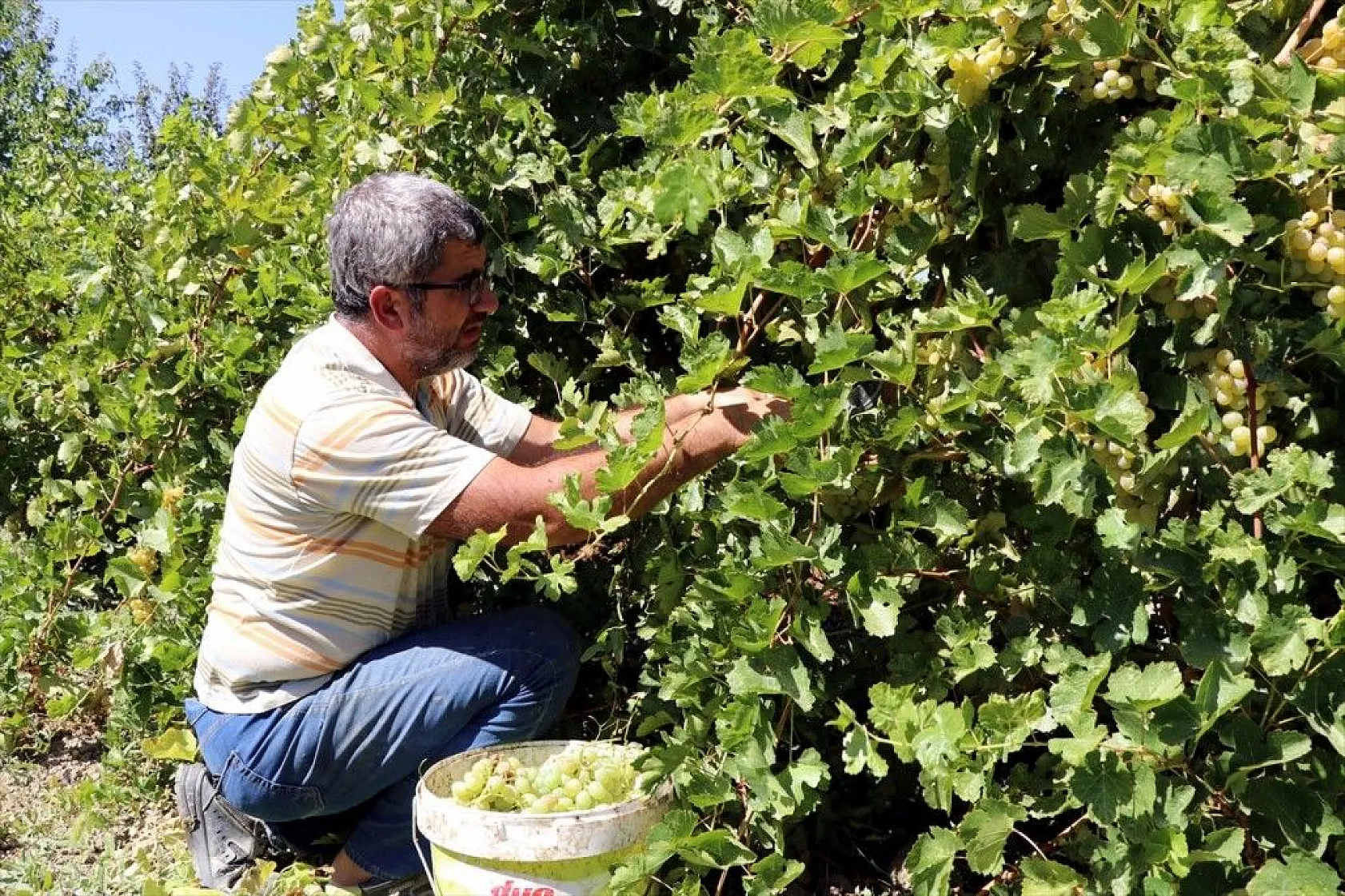 Kazanlar 'orcik' yapımı için kaynıyor
