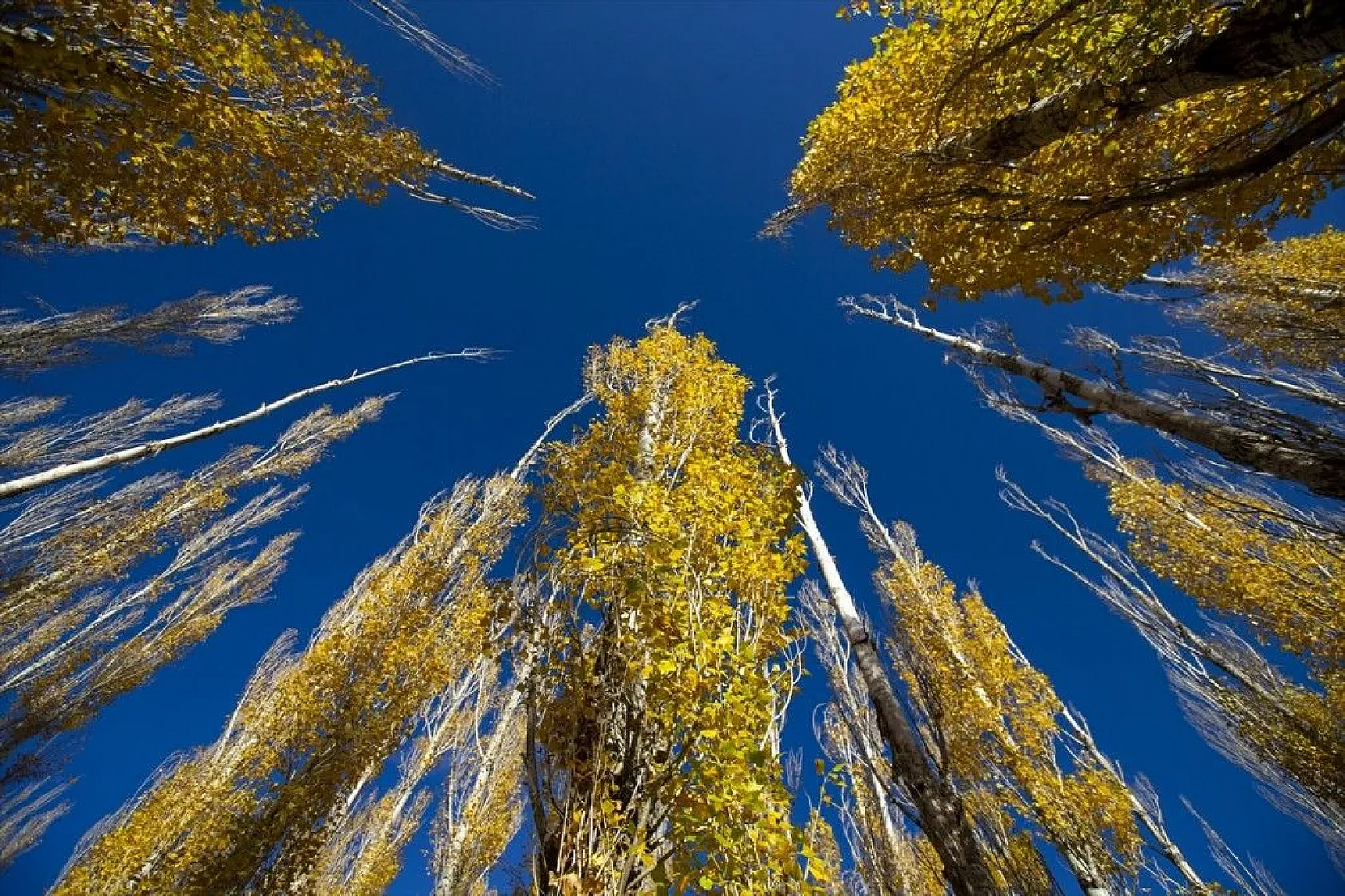 Erzurum'un meşhur Tekederesi mesire alanı sonbahar renklerine büründü