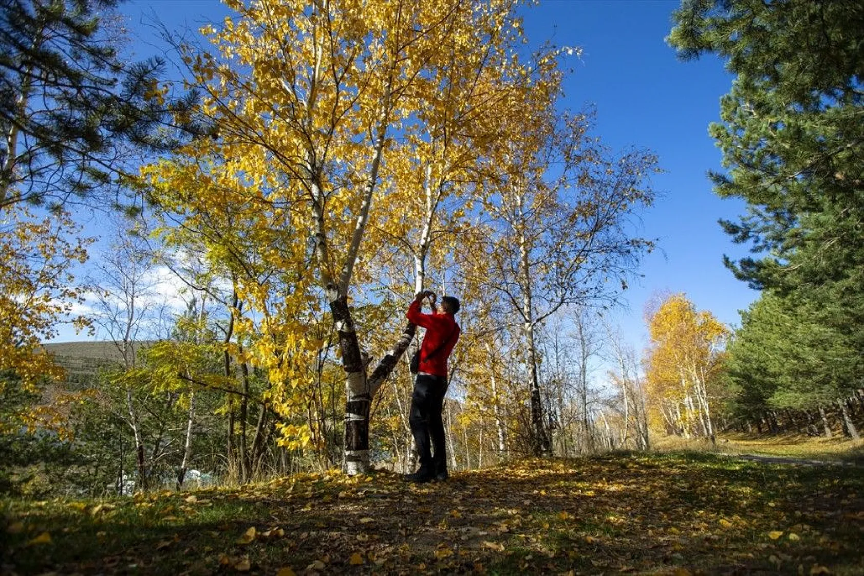 Erzurum'un meşhur Tekederesi mesire alanı sonbahar renklerine büründü