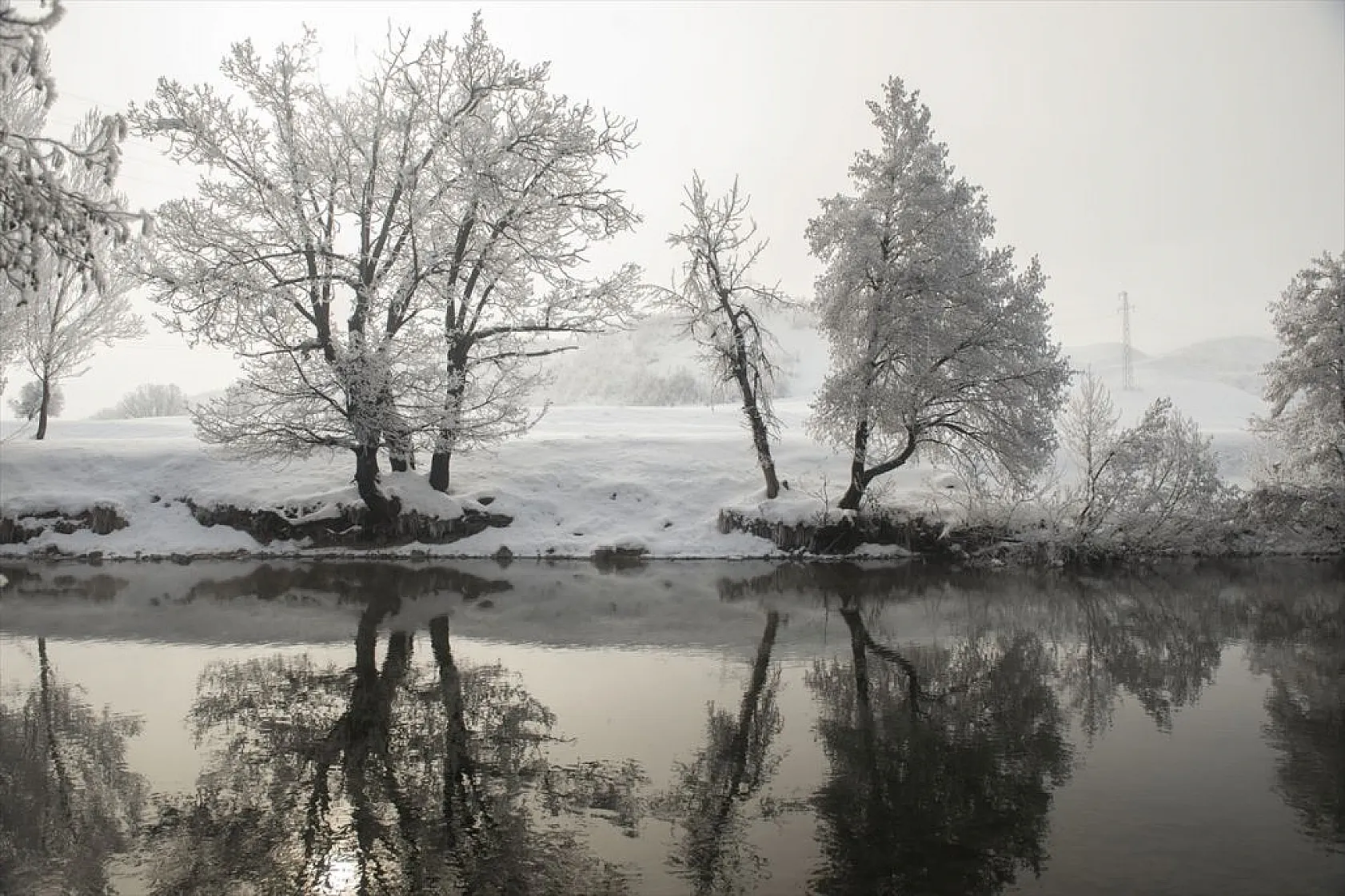 Tunceli'de soğuk havanın etkisiyle ağaç ve bitkiler kırağı tuttu