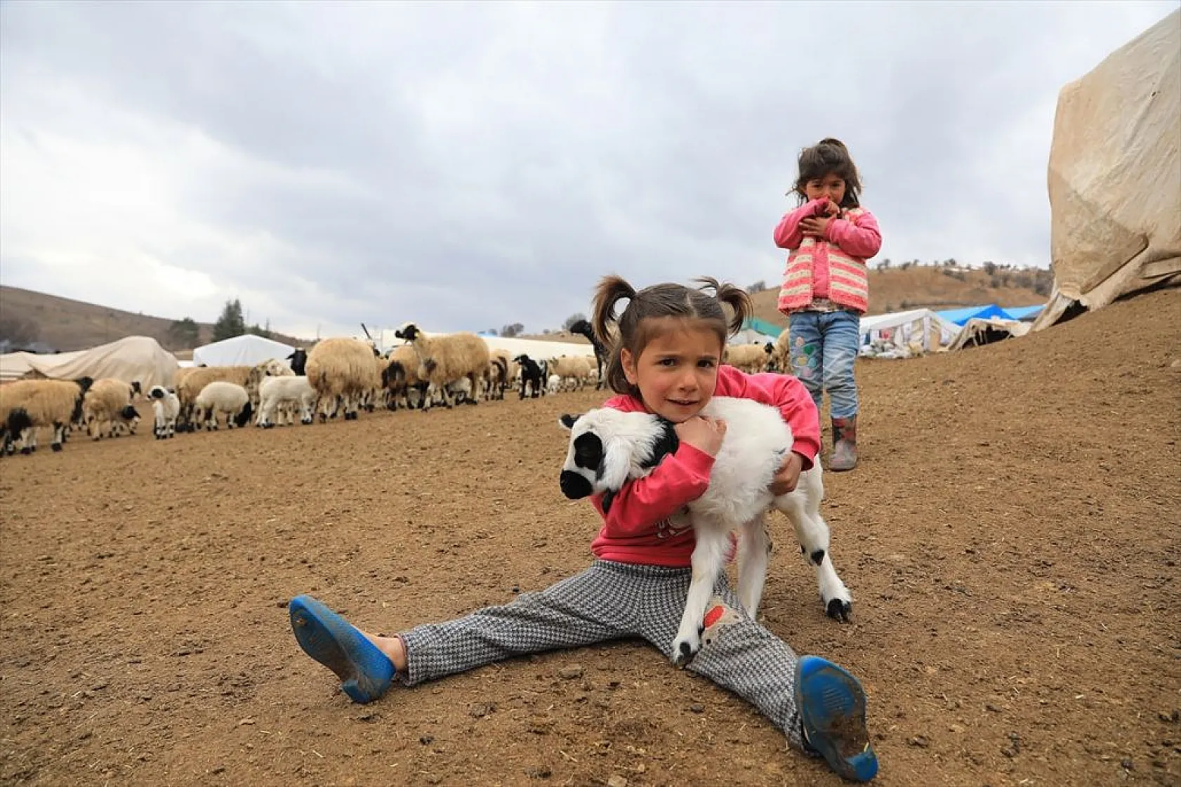 Sonbahar yağışları ile besicilerin yüzü güldü