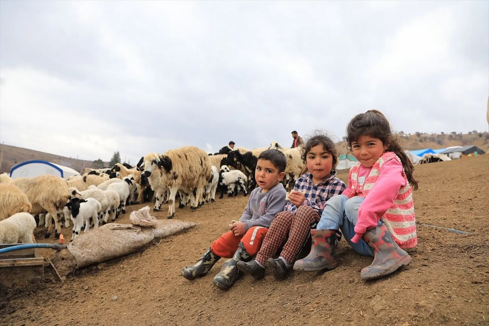 Sonbahar yağışları ile besicilerin yüzü güldü
