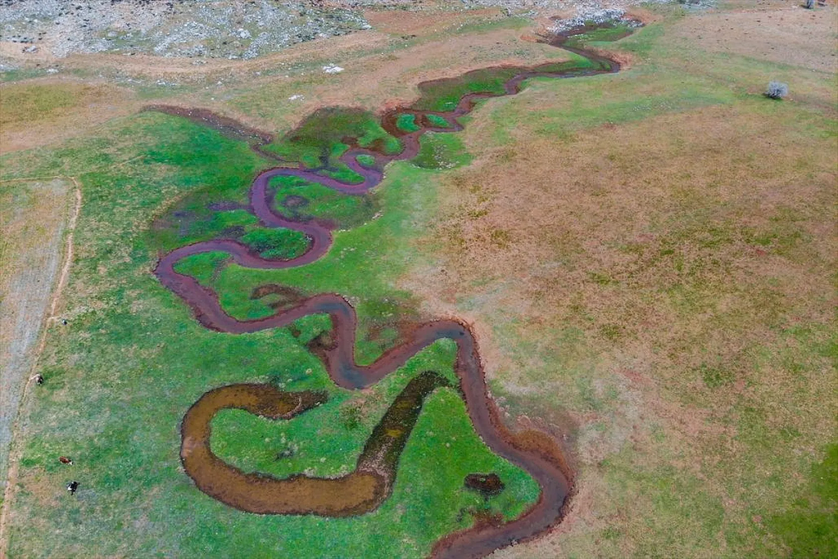 Tunceli'nin Gözeler köyündeki mendereslerde ilkbahar güzelliği