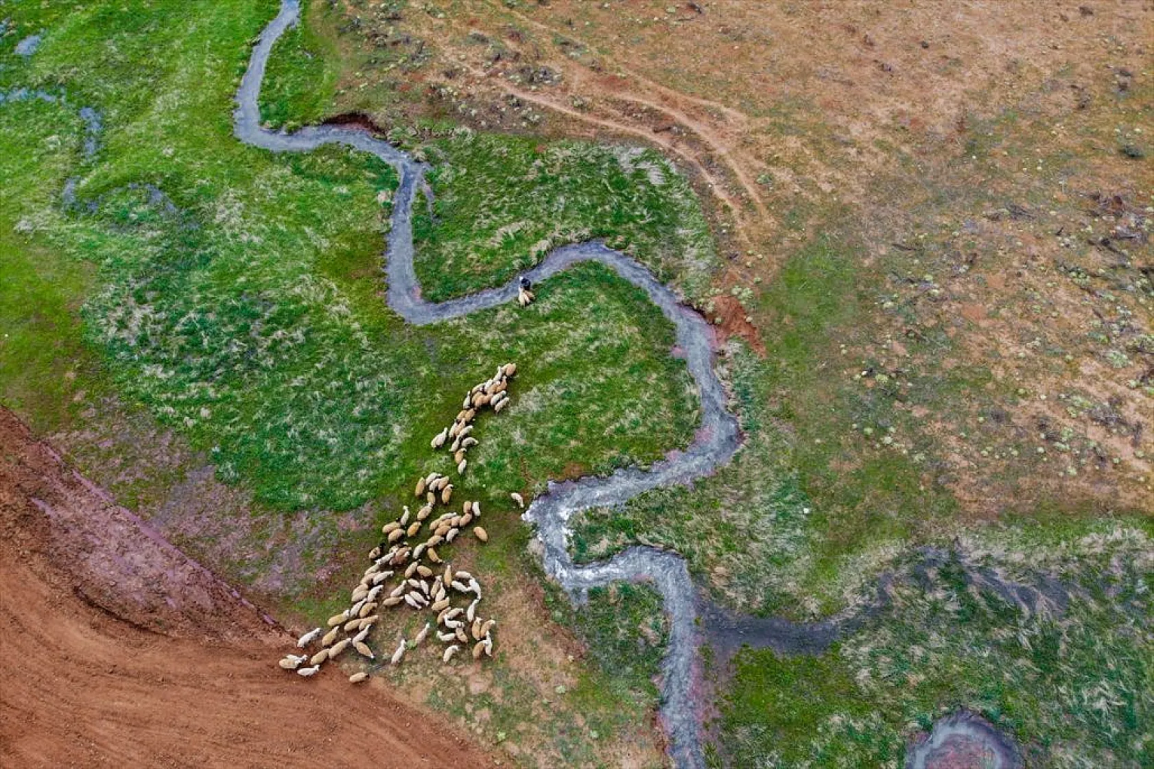 Tunceli'nin Gözeler köyündeki mendereslerde ilkbahar güzelliği