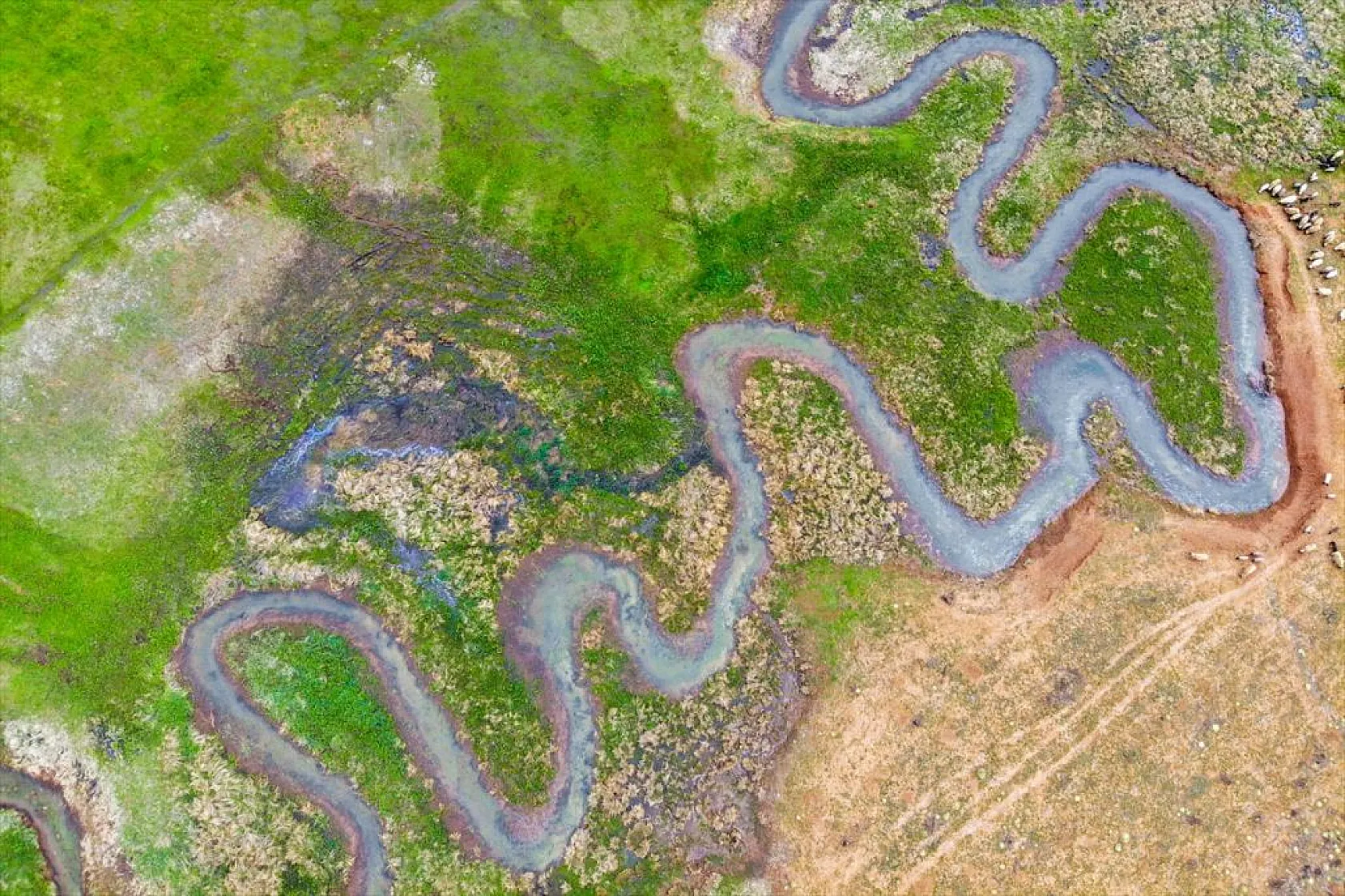 Tunceli'nin Gözeler köyündeki mendereslerde ilkbahar güzelliği