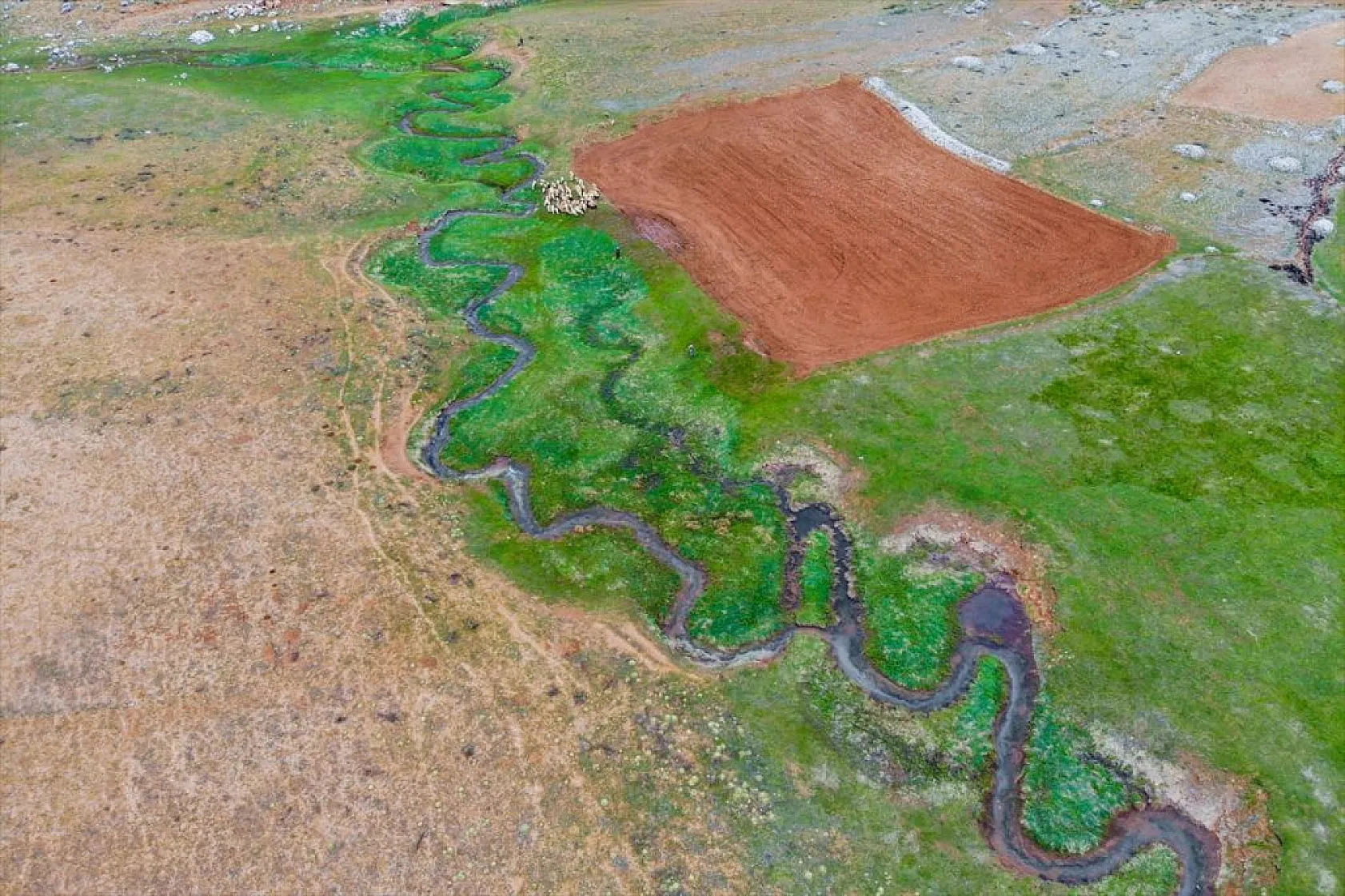 Tunceli'nin Gözeler köyündeki mendereslerde ilkbahar güzelliği
