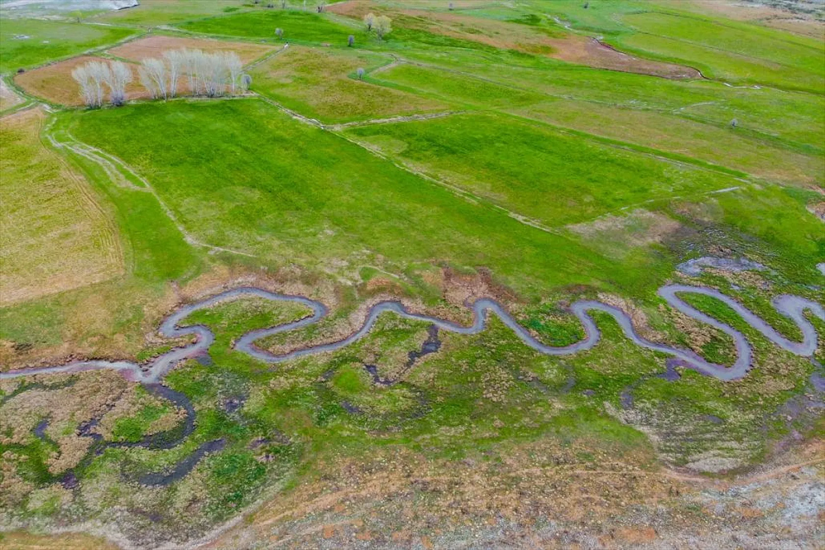 Tunceli'nin Gözeler köyündeki mendereslerde ilkbahar güzelliği