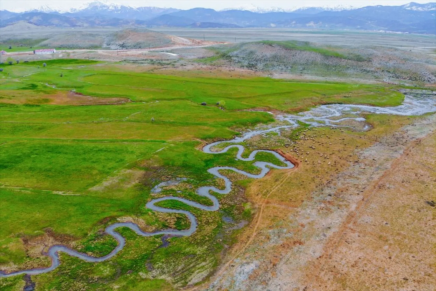 Tunceli'nin Gözeler köyündeki mendereslerde ilkbahar güzelliği