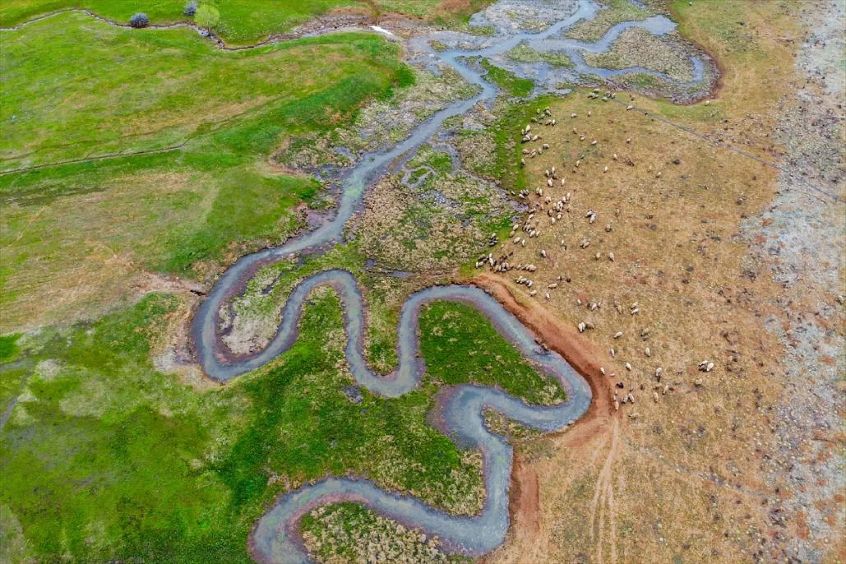Tunceli'nin Gözeler köyündeki mendereslerde ilkbahar güzelliği