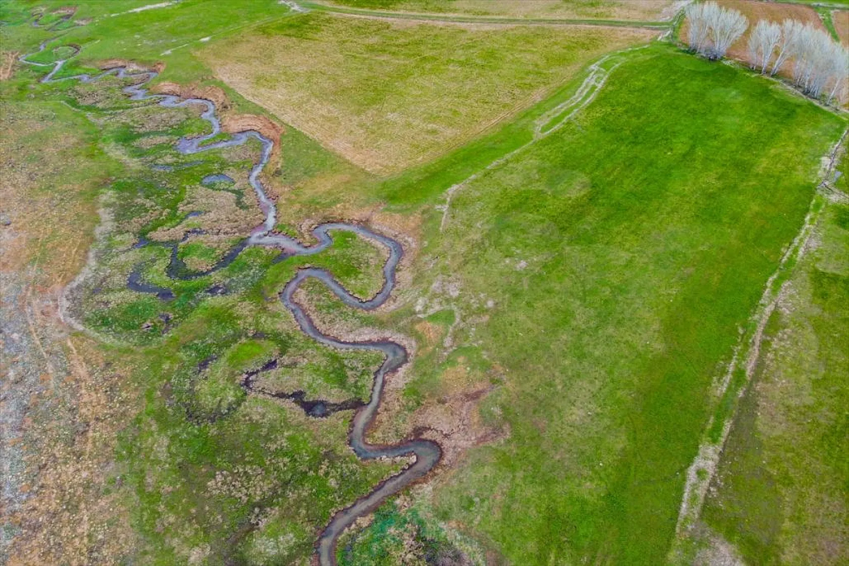 Tunceli'nin Gözeler köyündeki mendereslerde ilkbahar güzelliği