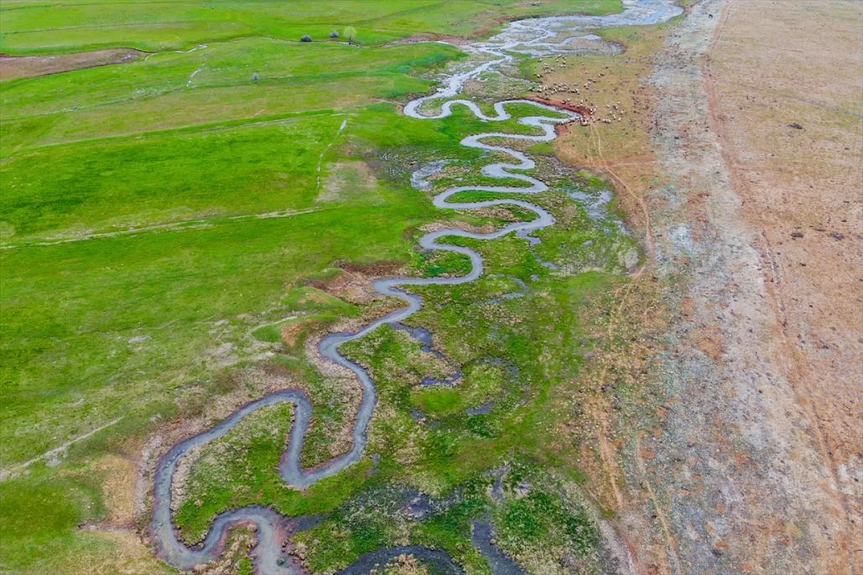 Tunceli'nin Gözeler köyündeki mendereslerde ilkbahar güzelliği