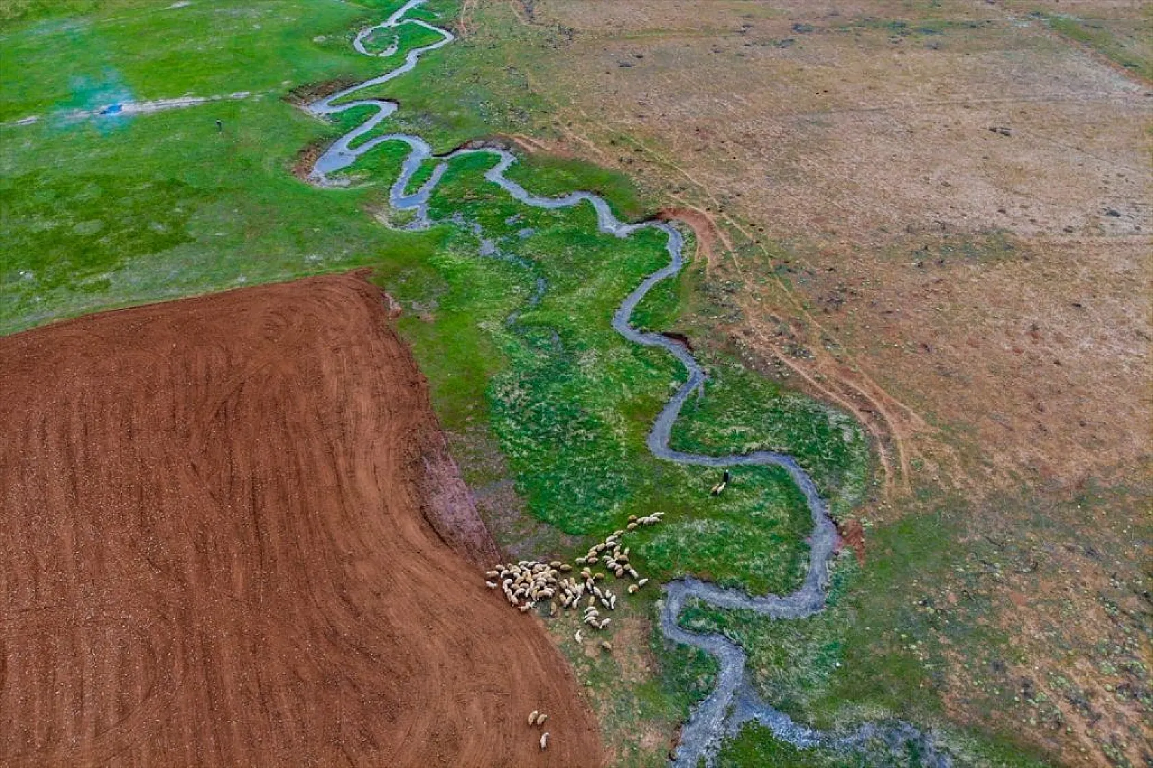 Tunceli'nin Gözeler köyündeki mendereslerde ilkbahar güzelliği