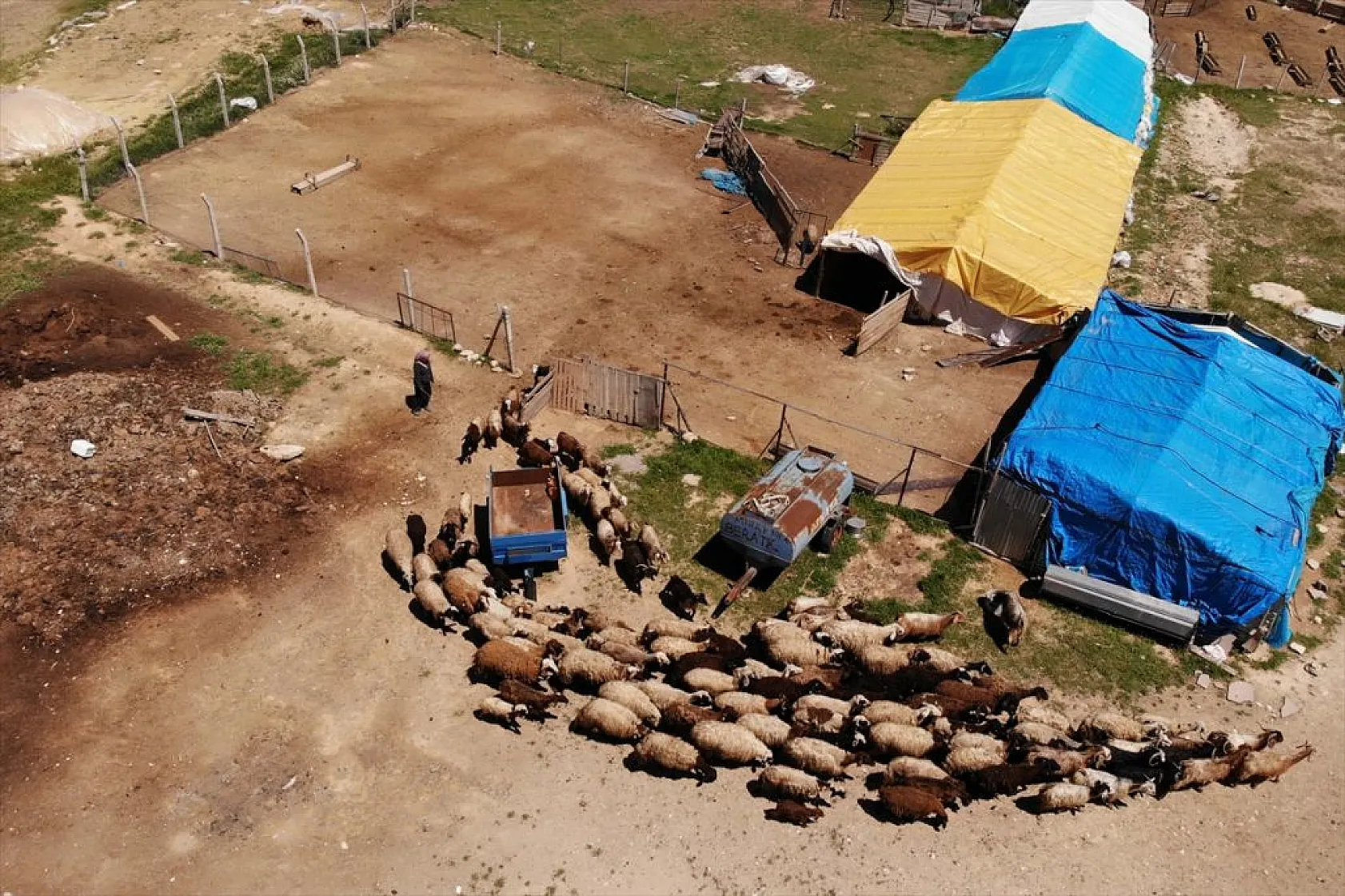 Devlet desteği ile sürü sahibi oldu