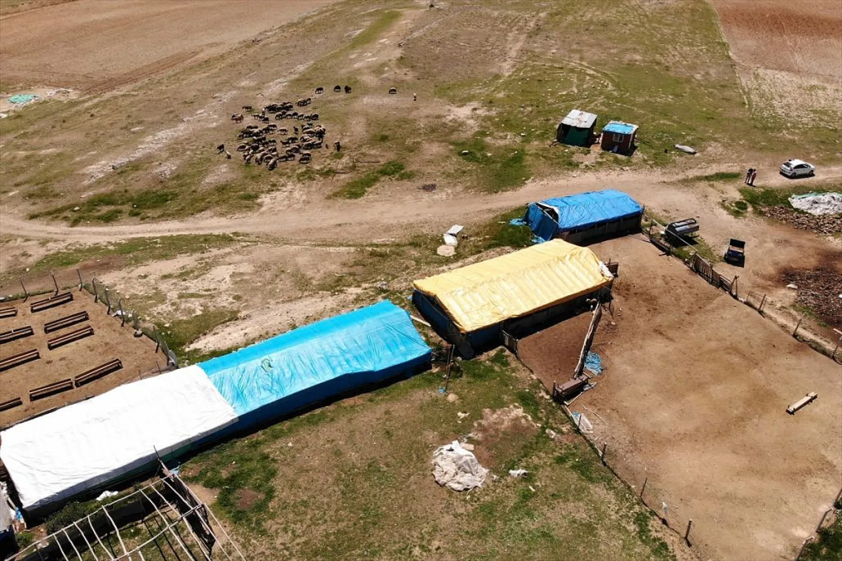 Devlet desteği ile sürü sahibi oldu