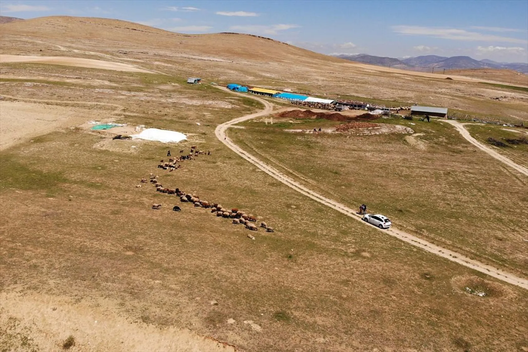 Devlet desteği ile sürü sahibi oldu