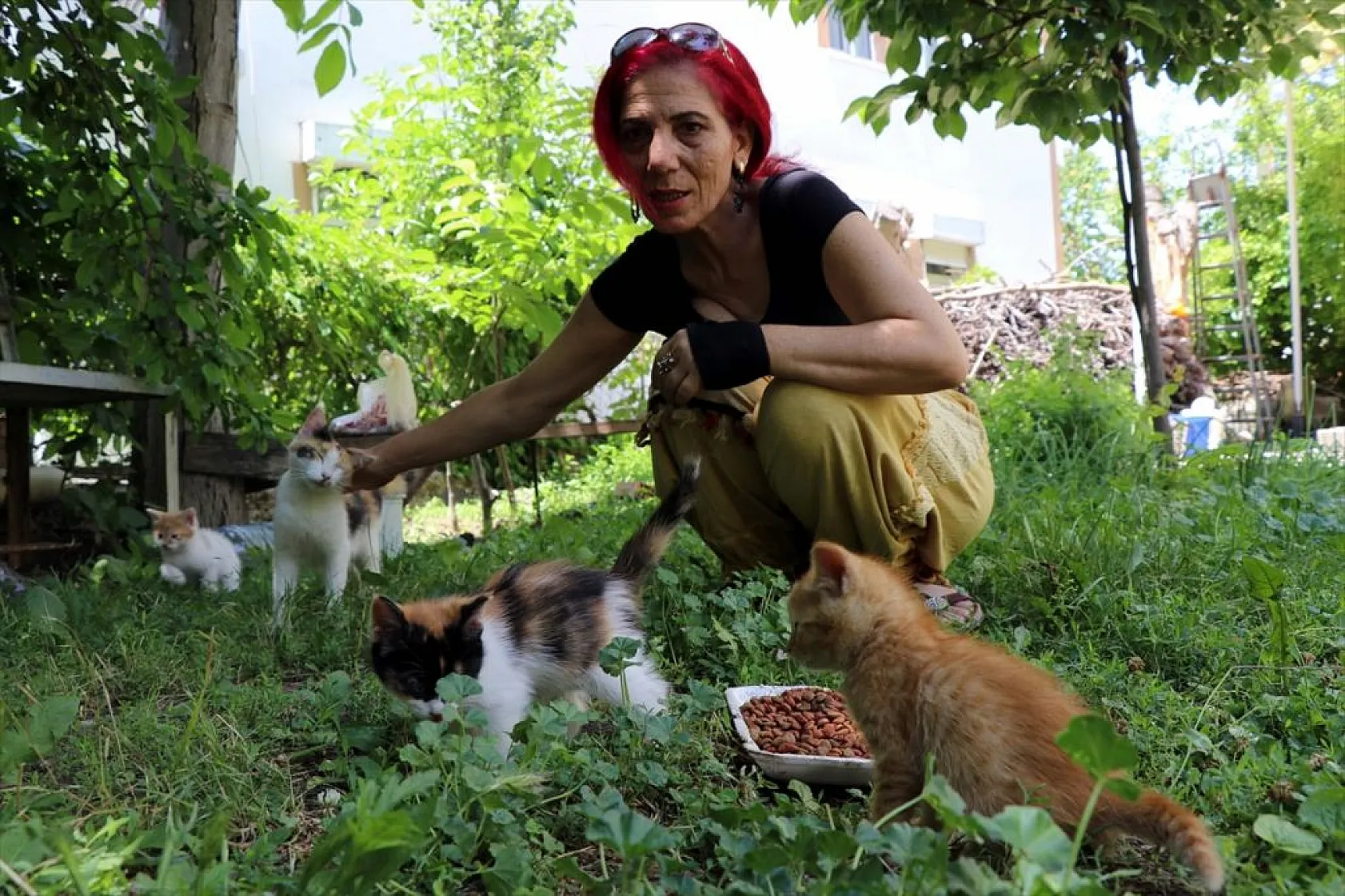 Emekli öğretmenden sahipsiz hayvanlara vefa