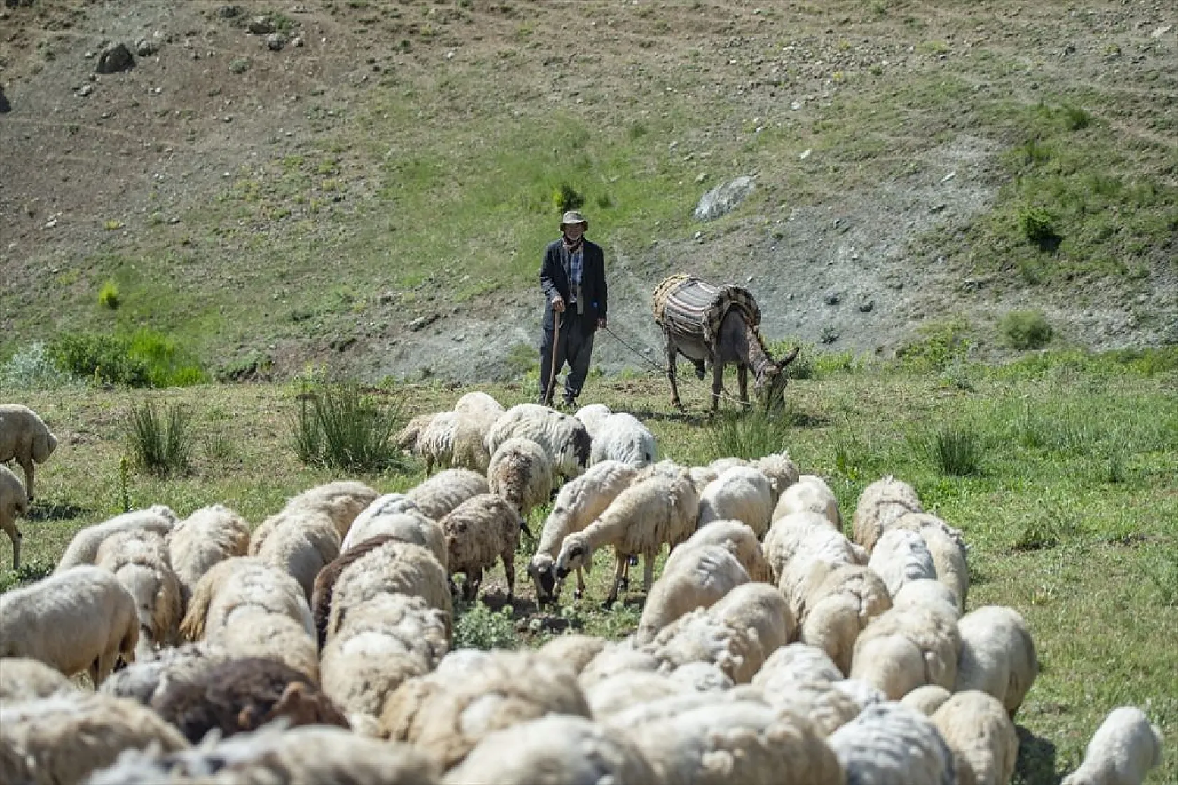 Göçerlerin yaylalarda zorlu mesaisi