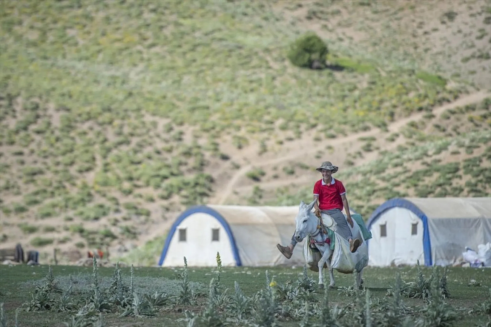 Göçerlerin yaylalarda zorlu mesaisi
