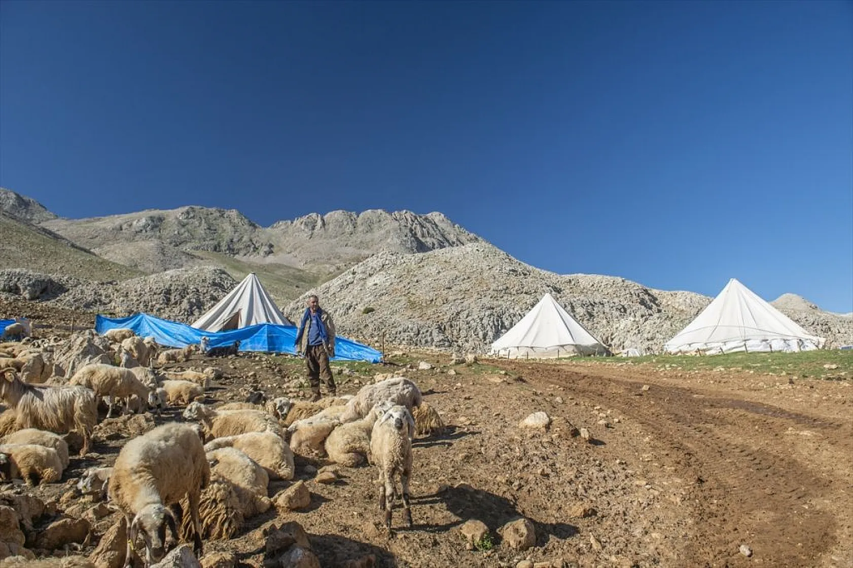 Göçerlerin yaylalarda zorlu mesaisi