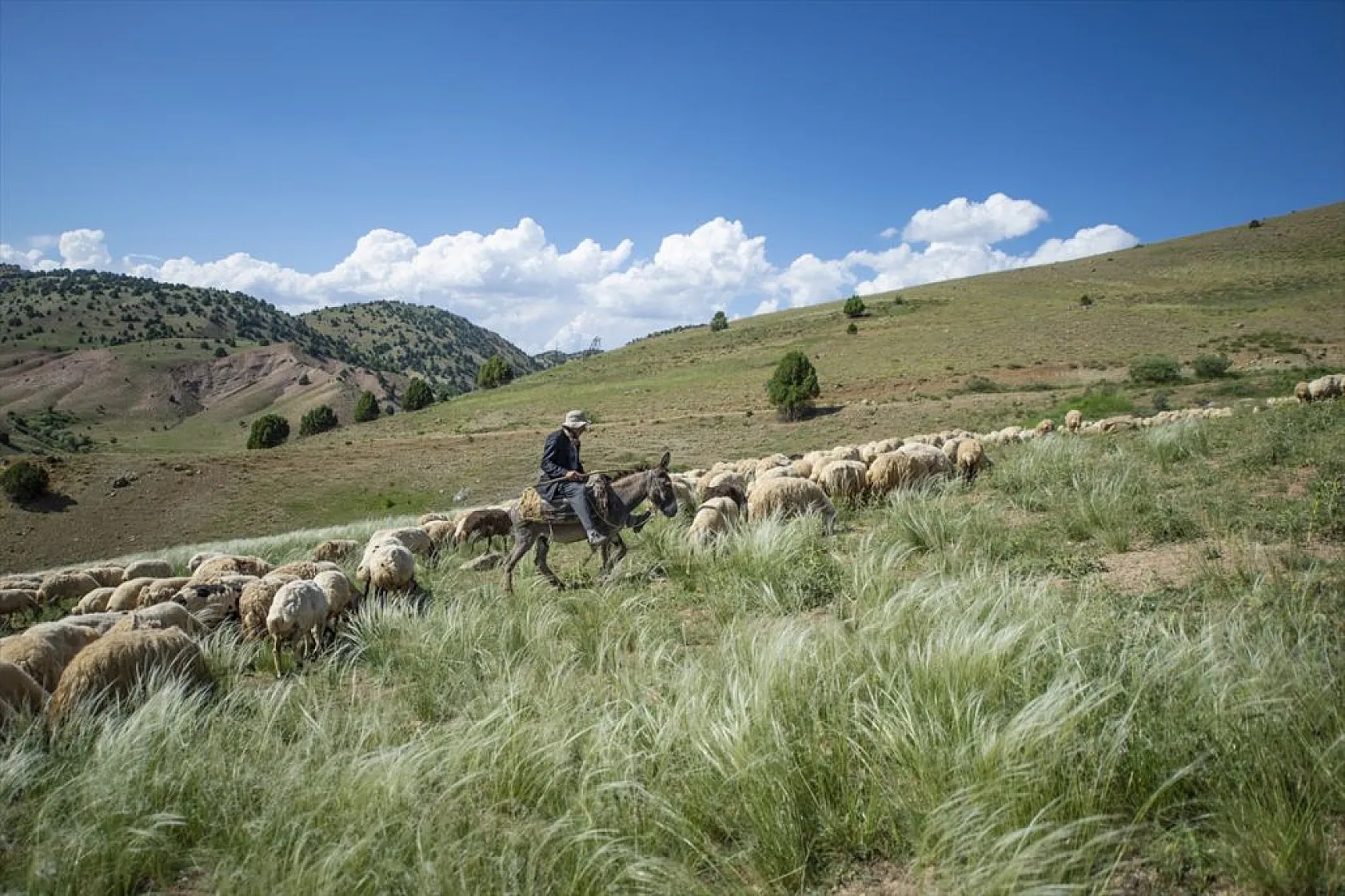 Göçerlerin yaylalarda zorlu mesaisi