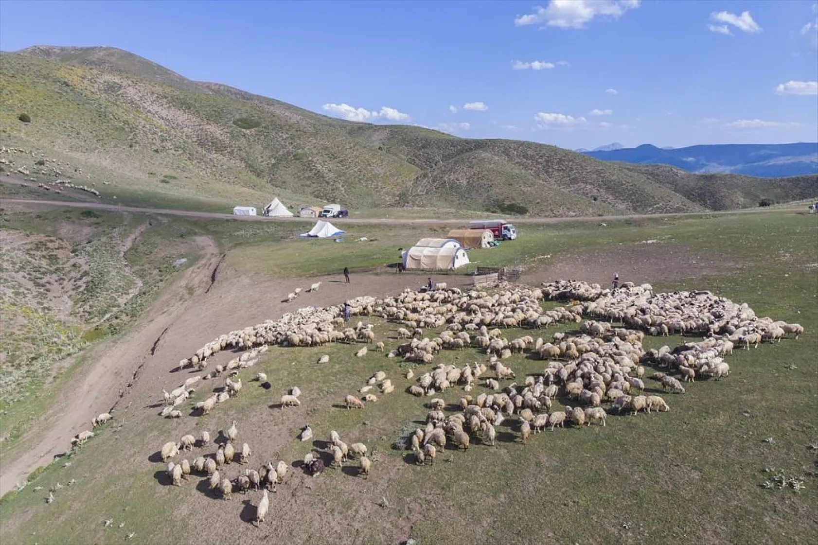 Göçerlerin yaylalarda zorlu mesaisi
