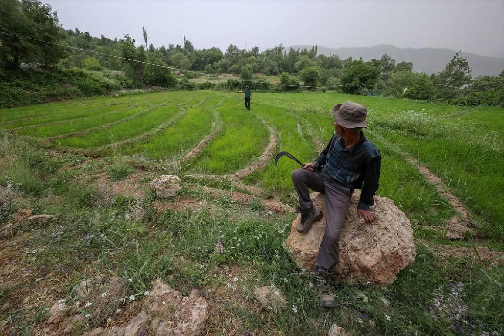 Çukarca'da çiftçilerin domuz nöbeti