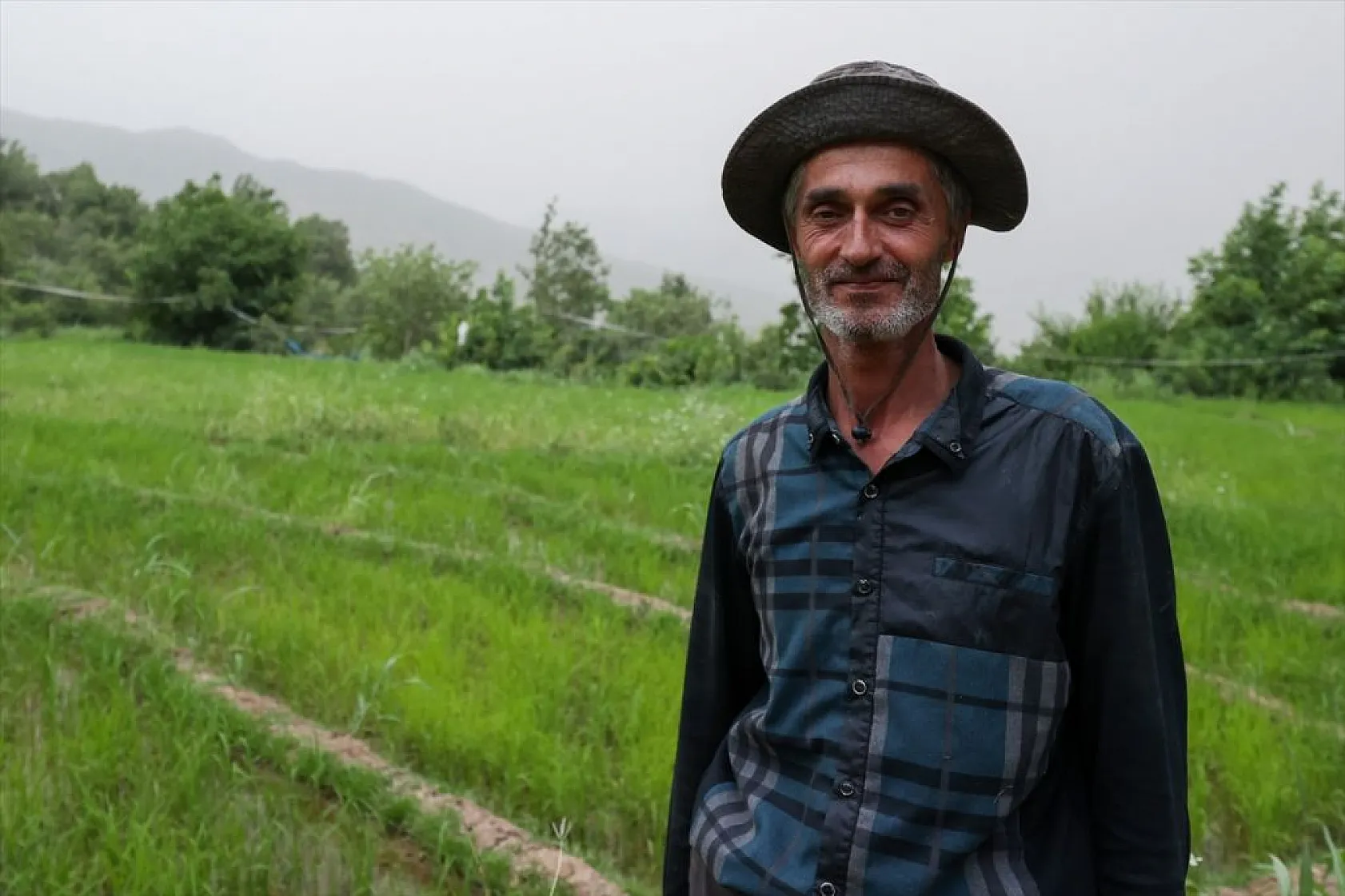 Çukarca'da çiftçilerin domuz nöbeti