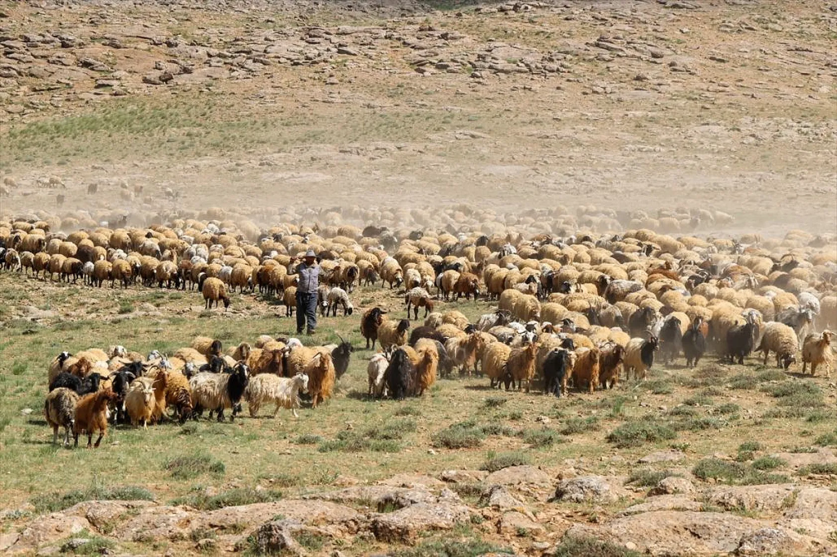 Yaz boyunca yaylalarda konaklayan göçerler eve dönüş yolculuğuna başladı