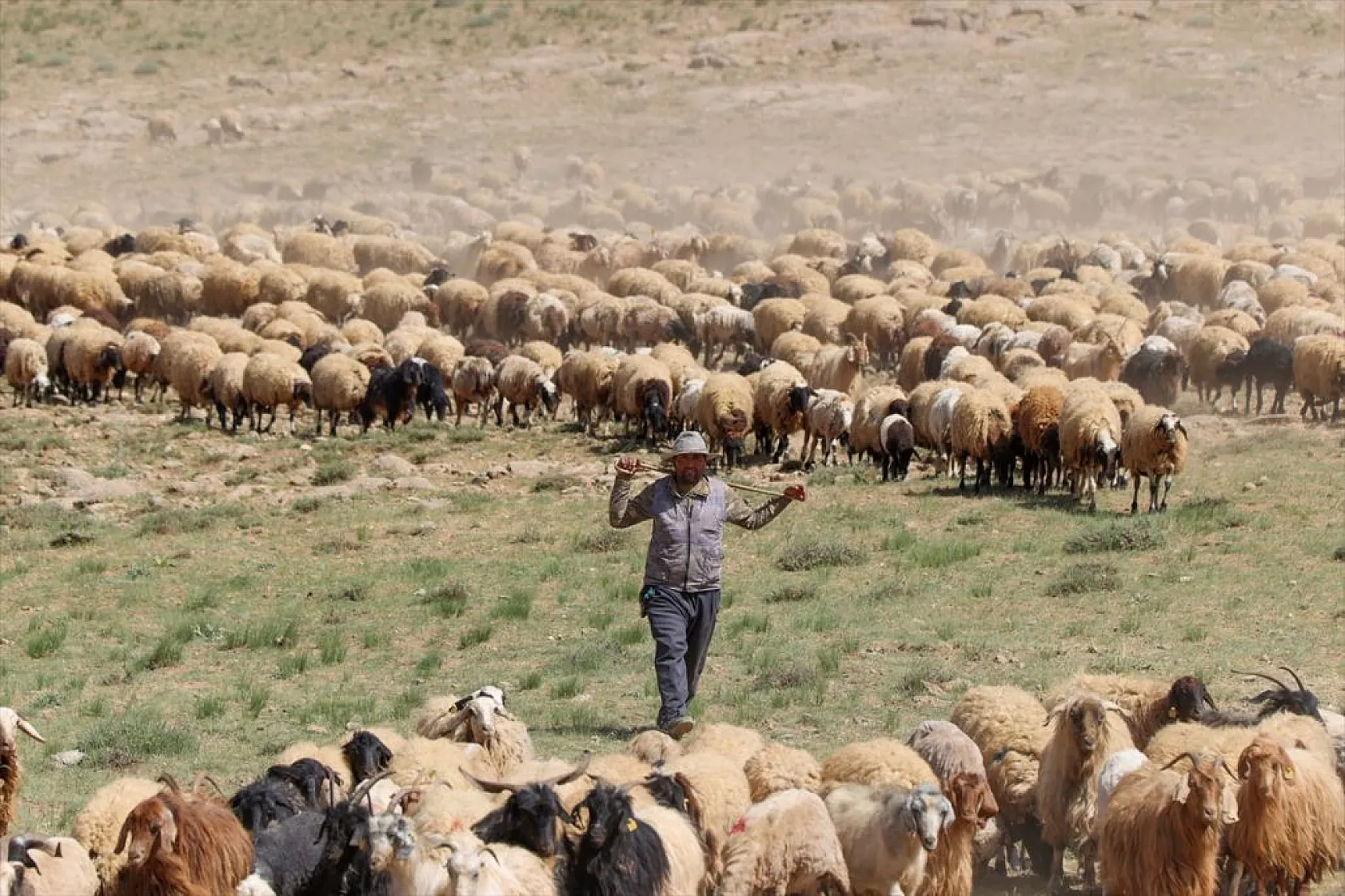 Yaz boyunca yaylalarda konaklayan göçerler eve dönüş yolculuğuna başladı