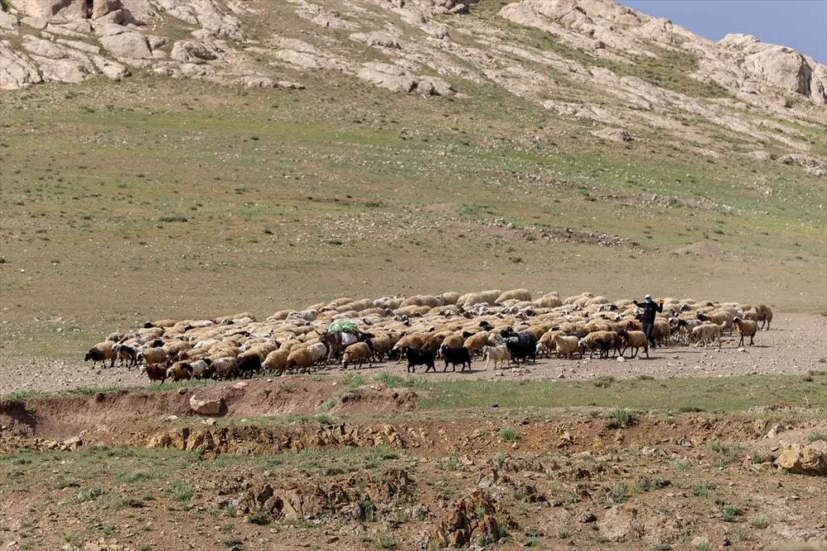 Yaz boyunca yaylalarda konaklayan göçerler eve dönüş yolculuğuna başladı