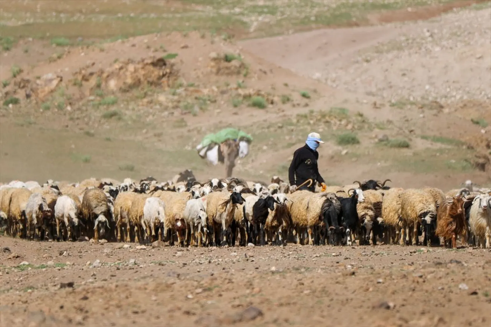 Yaz boyunca yaylalarda konaklayan göçerler eve dönüş yolculuğuna başladı
