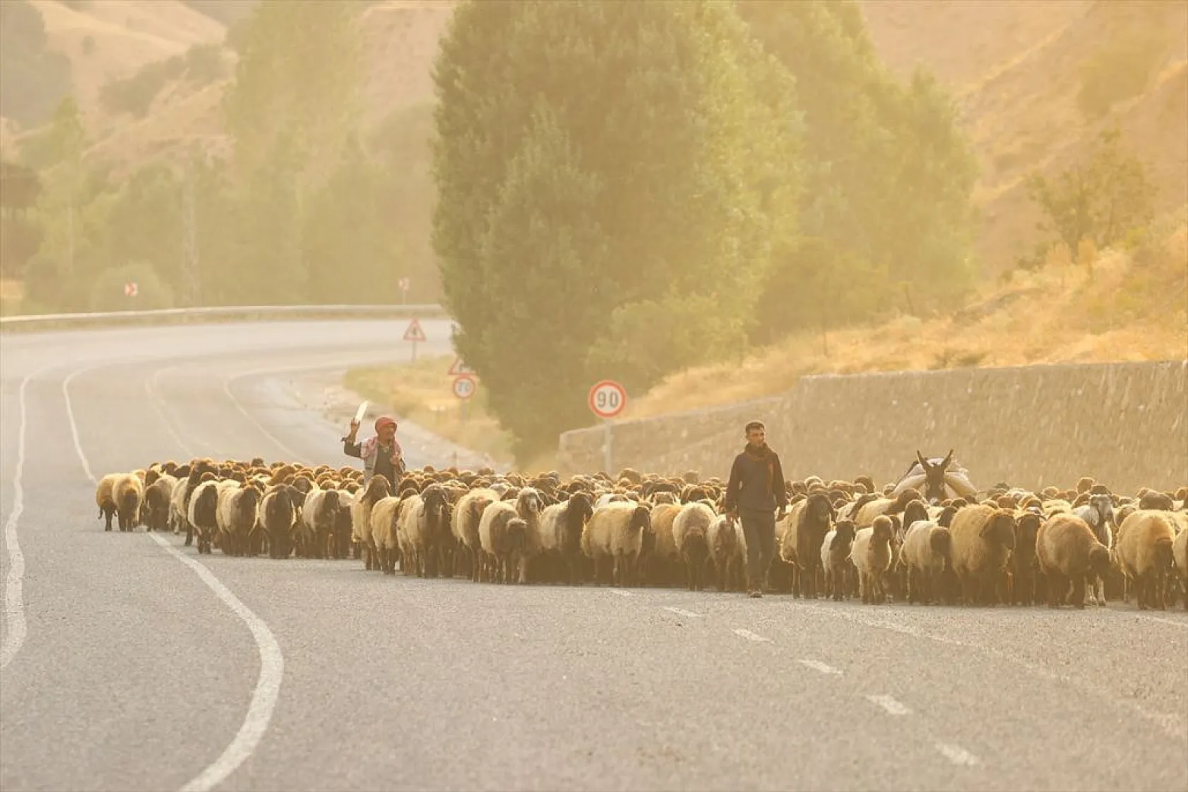Yaz boyunca yaylalarda konaklayan göçerler eve dönüş yolculuğuna başladı