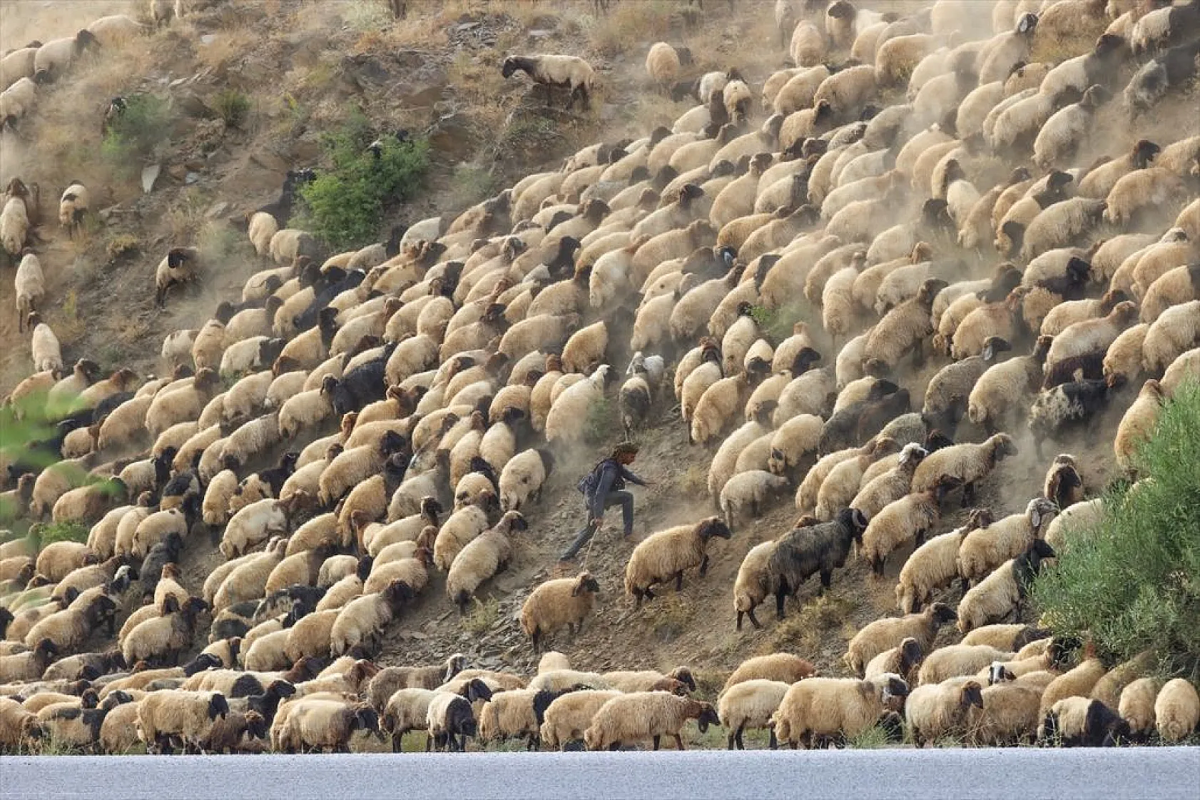 Yaz boyunca yaylalarda konaklayan göçerler eve dönüş yolculuğuna başladı