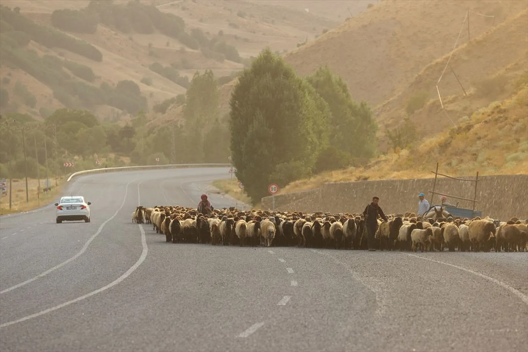 Yaz boyunca yaylalarda konaklayan göçerler eve dönüş yolculuğuna başladı