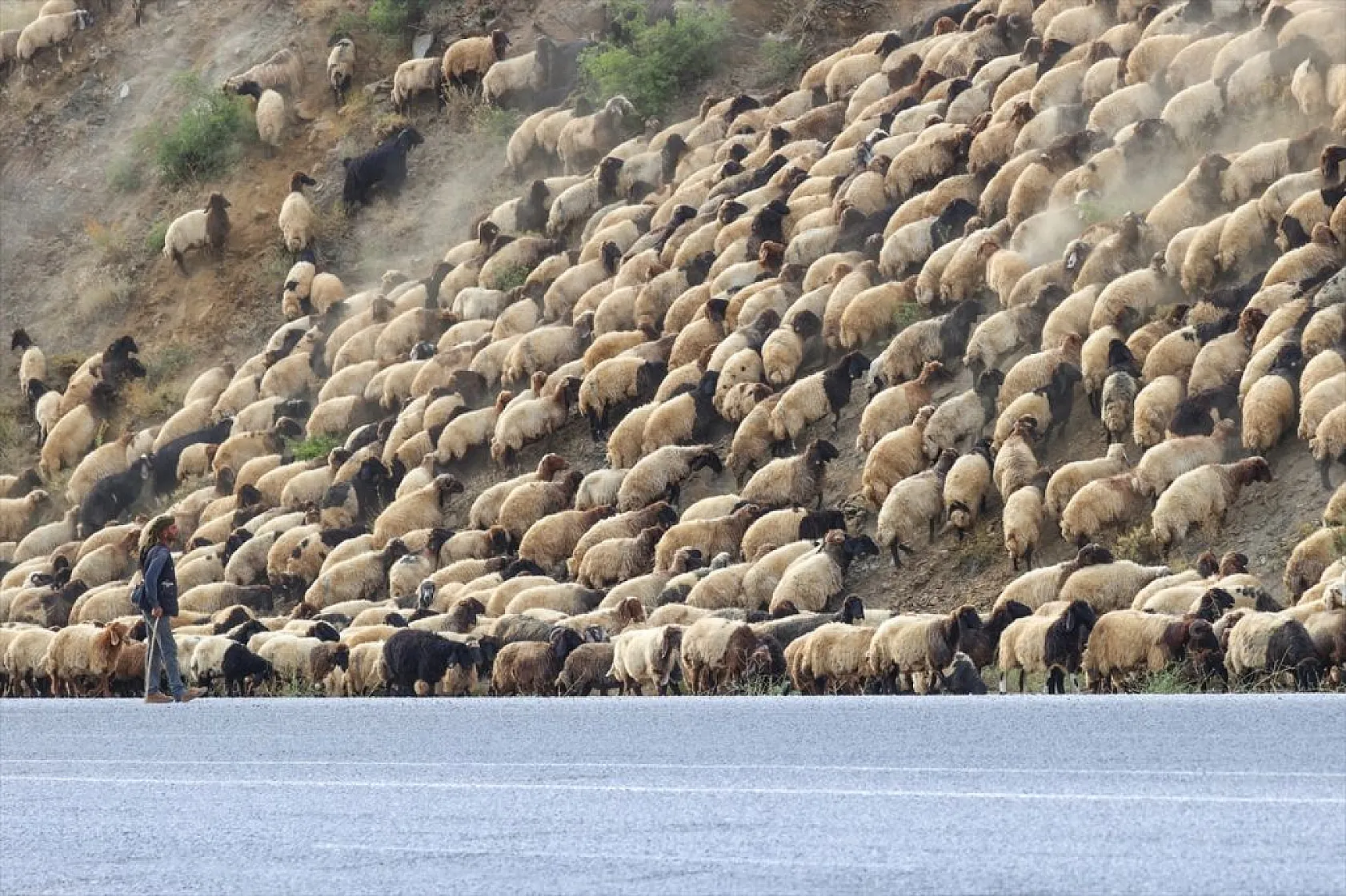 Yaz boyunca yaylalarda konaklayan göçerler eve dönüş yolculuğuna başladı