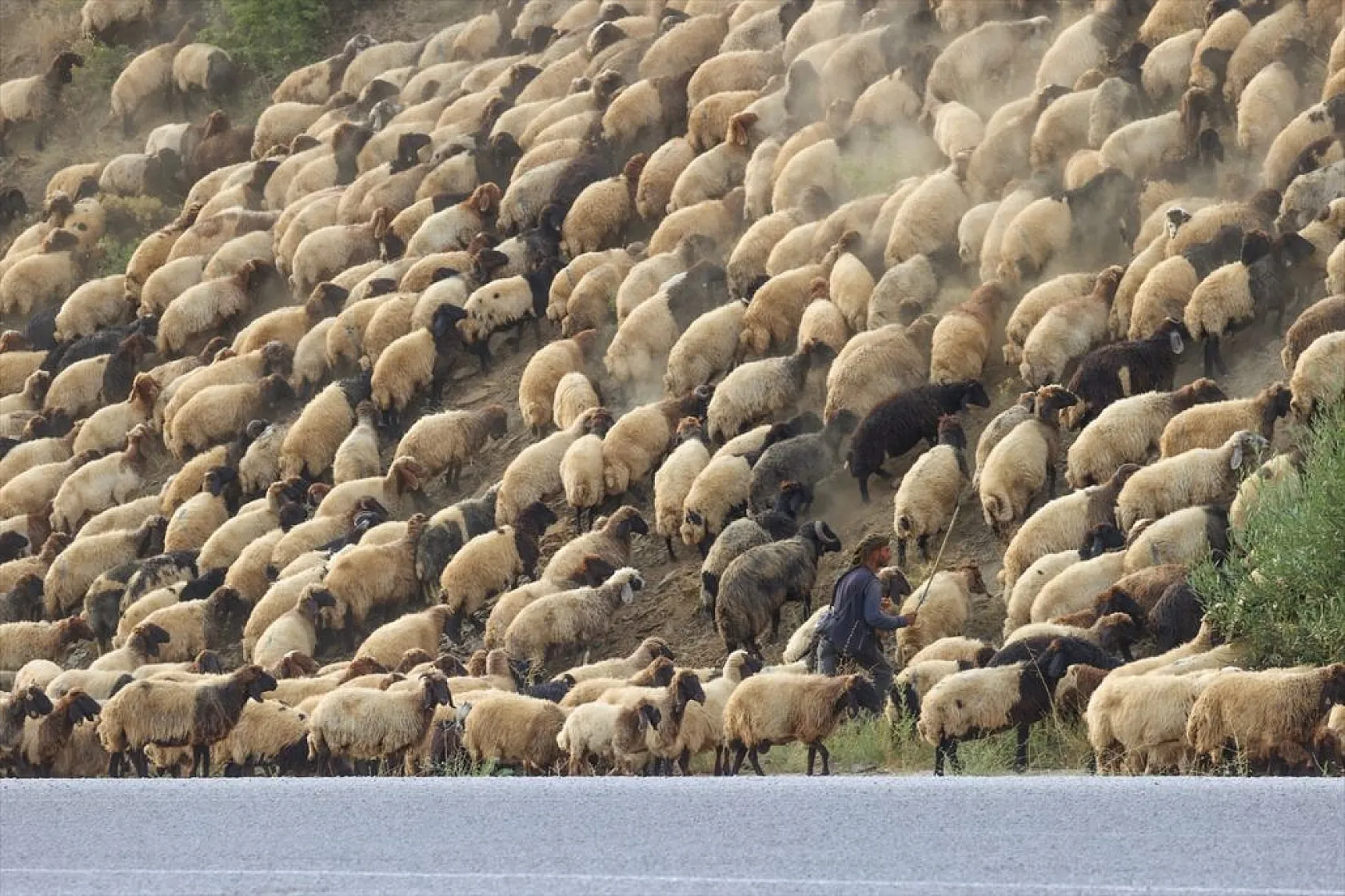 Yaz boyunca yaylalarda konaklayan göçerler eve dönüş yolculuğuna başladı