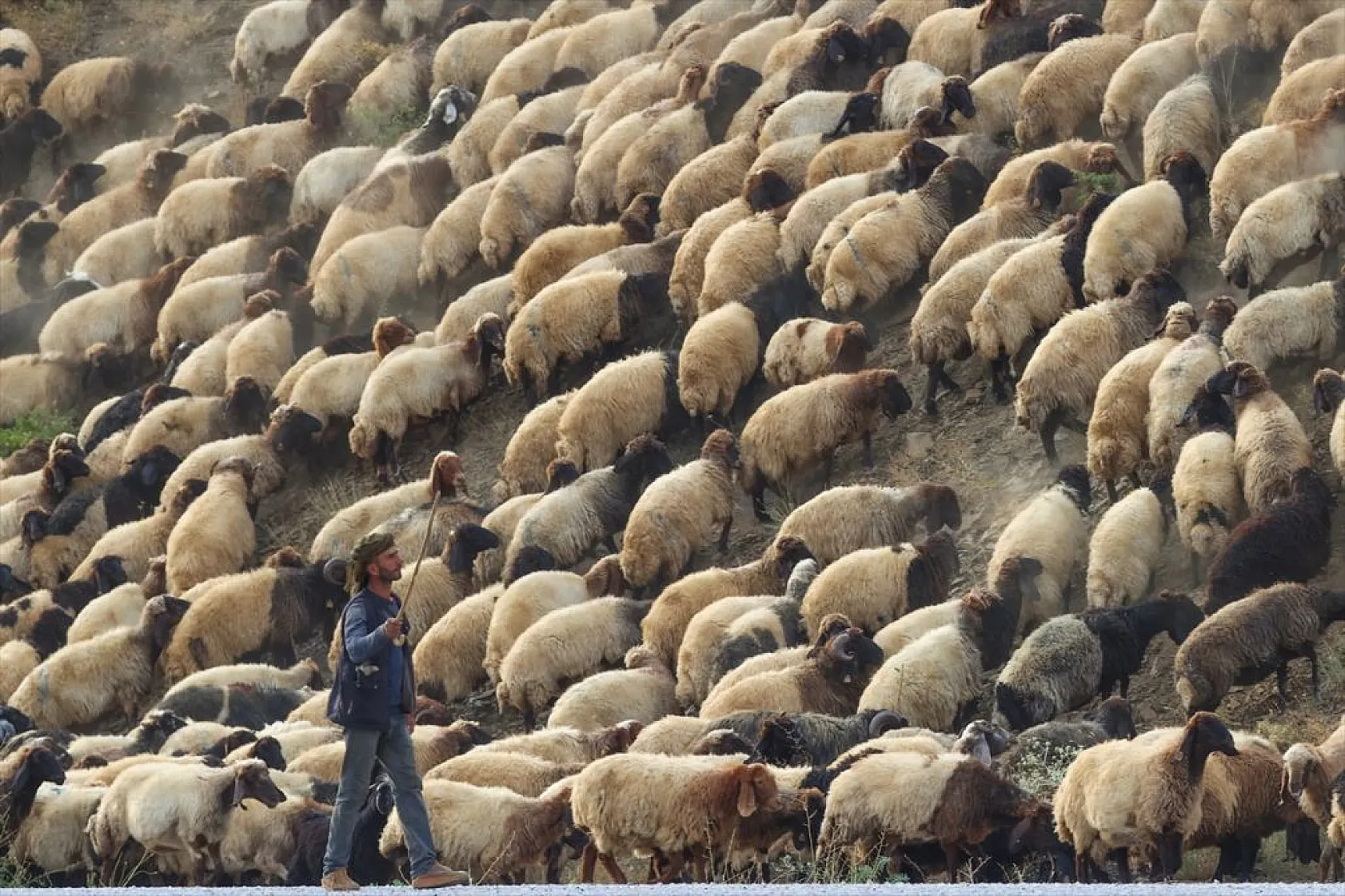 Yaz boyunca yaylalarda konaklayan göçerler eve dönüş yolculuğuna başladı